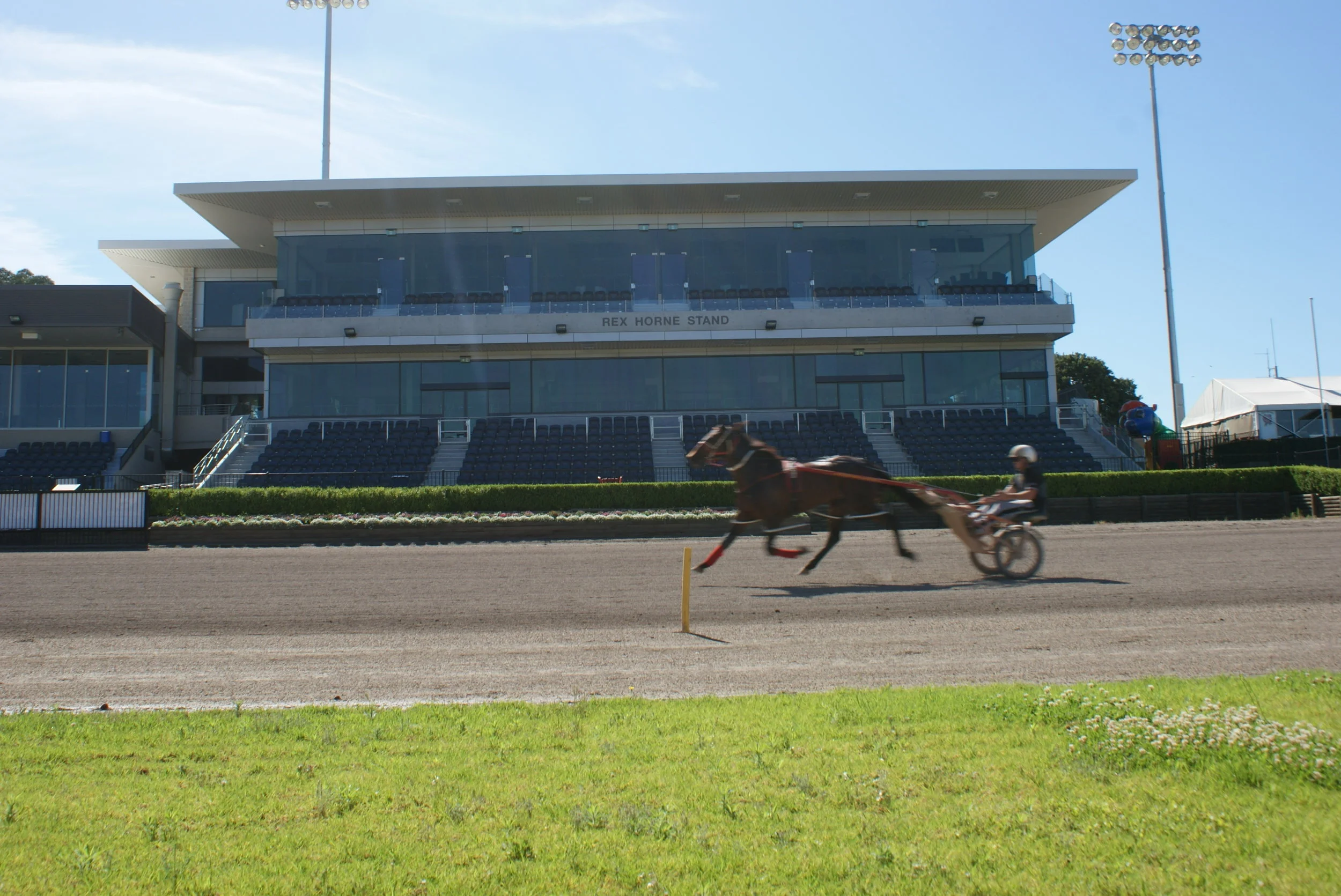 Ph 1036 Image 1.jpeg