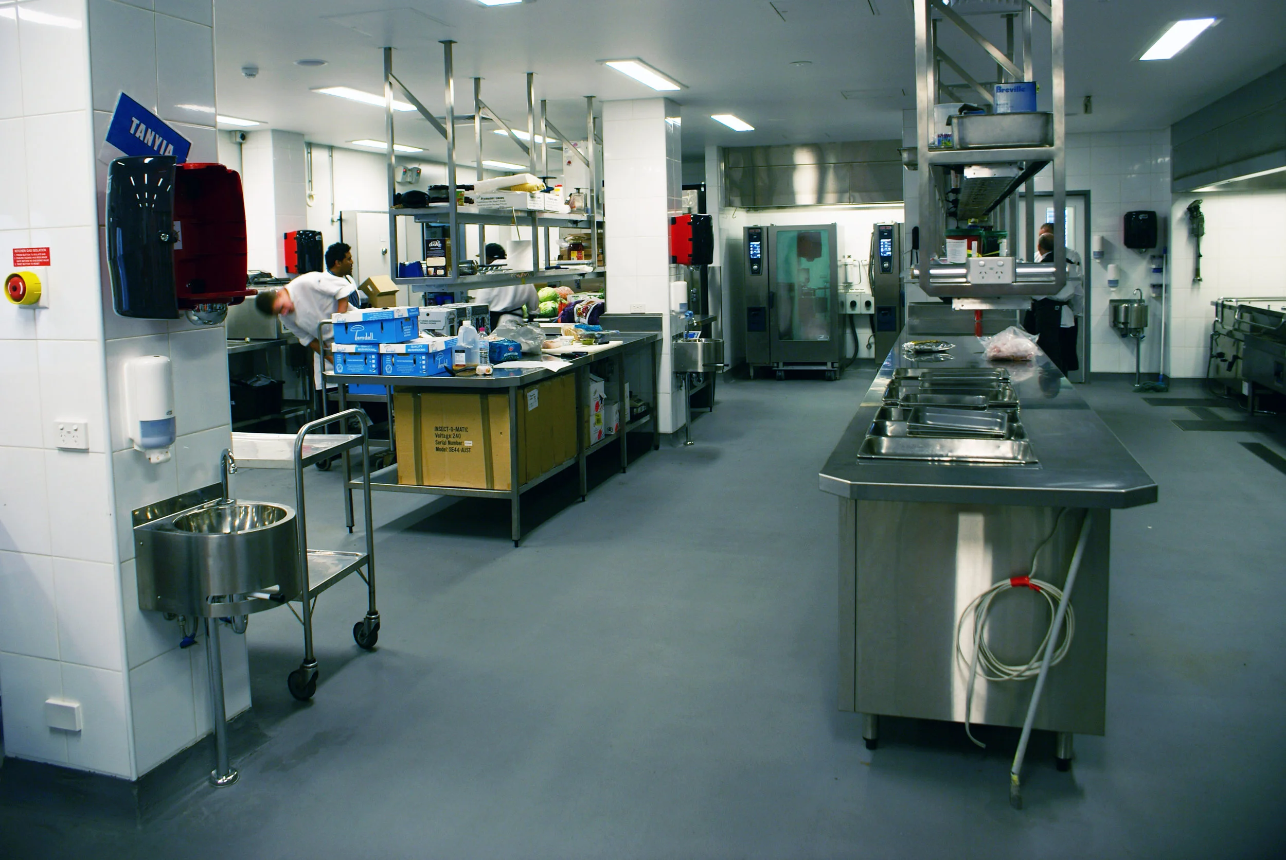 Ph 1036 Image 4.jpeg