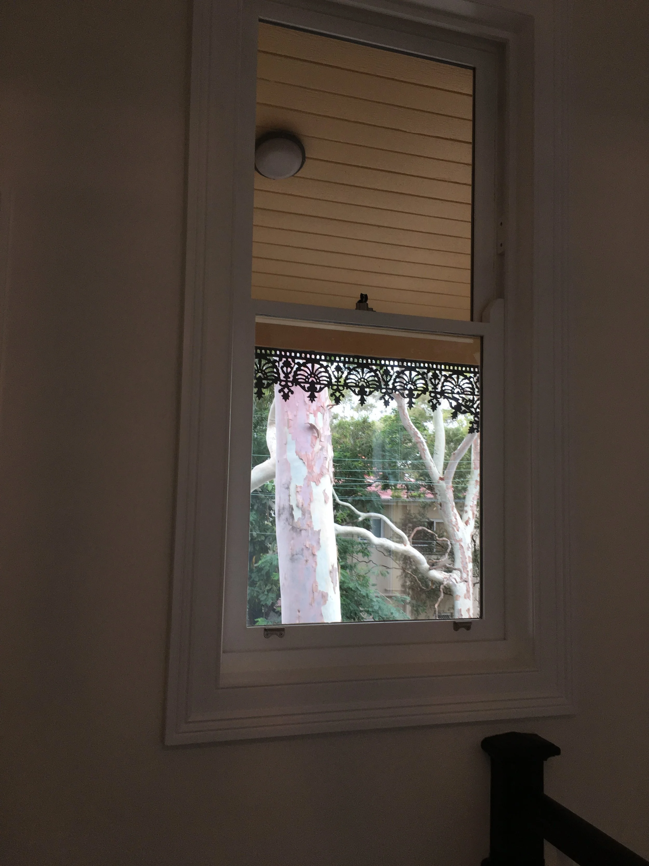 Ph 1602 Def -154.JPG