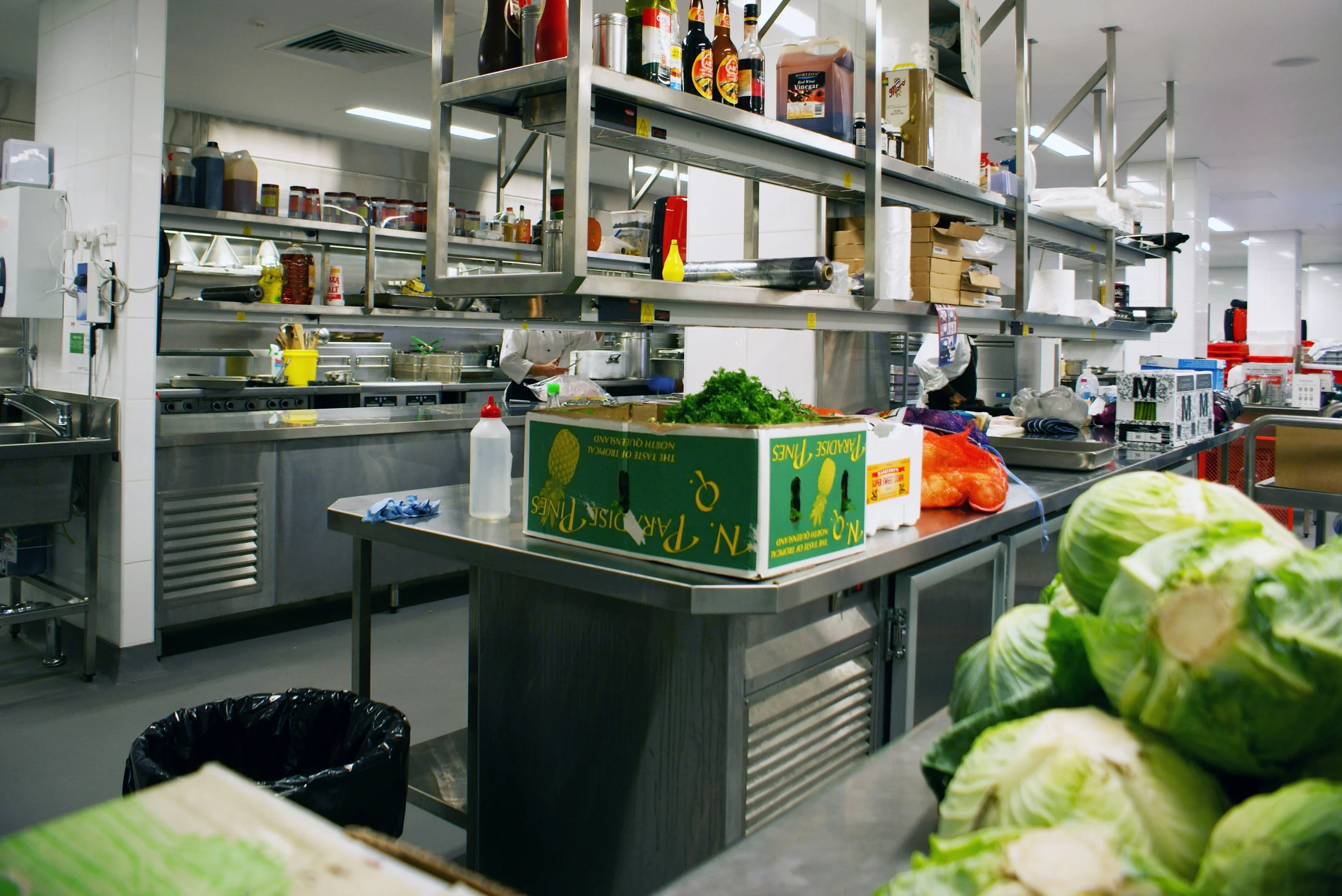 Ph 1036 Image 3.jpeg