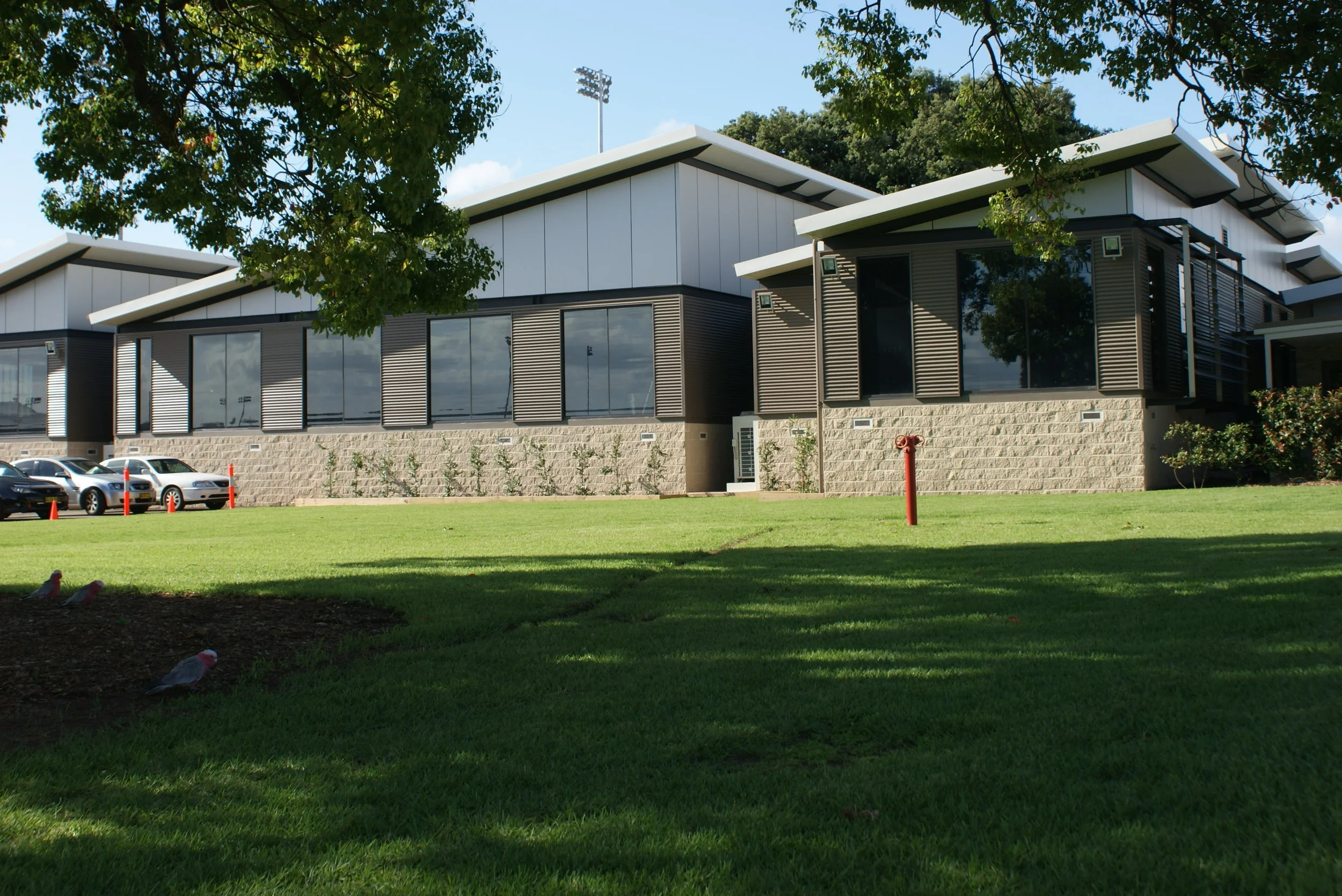 Ph 1036 Image 5.jpeg