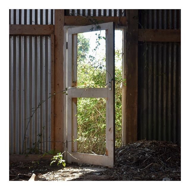 Millie has been to take photos of an abandoned barn for one of our projects. It&rsquo;s so interesting when nature takes over.

#nature #barn #cheshire #architecture #door