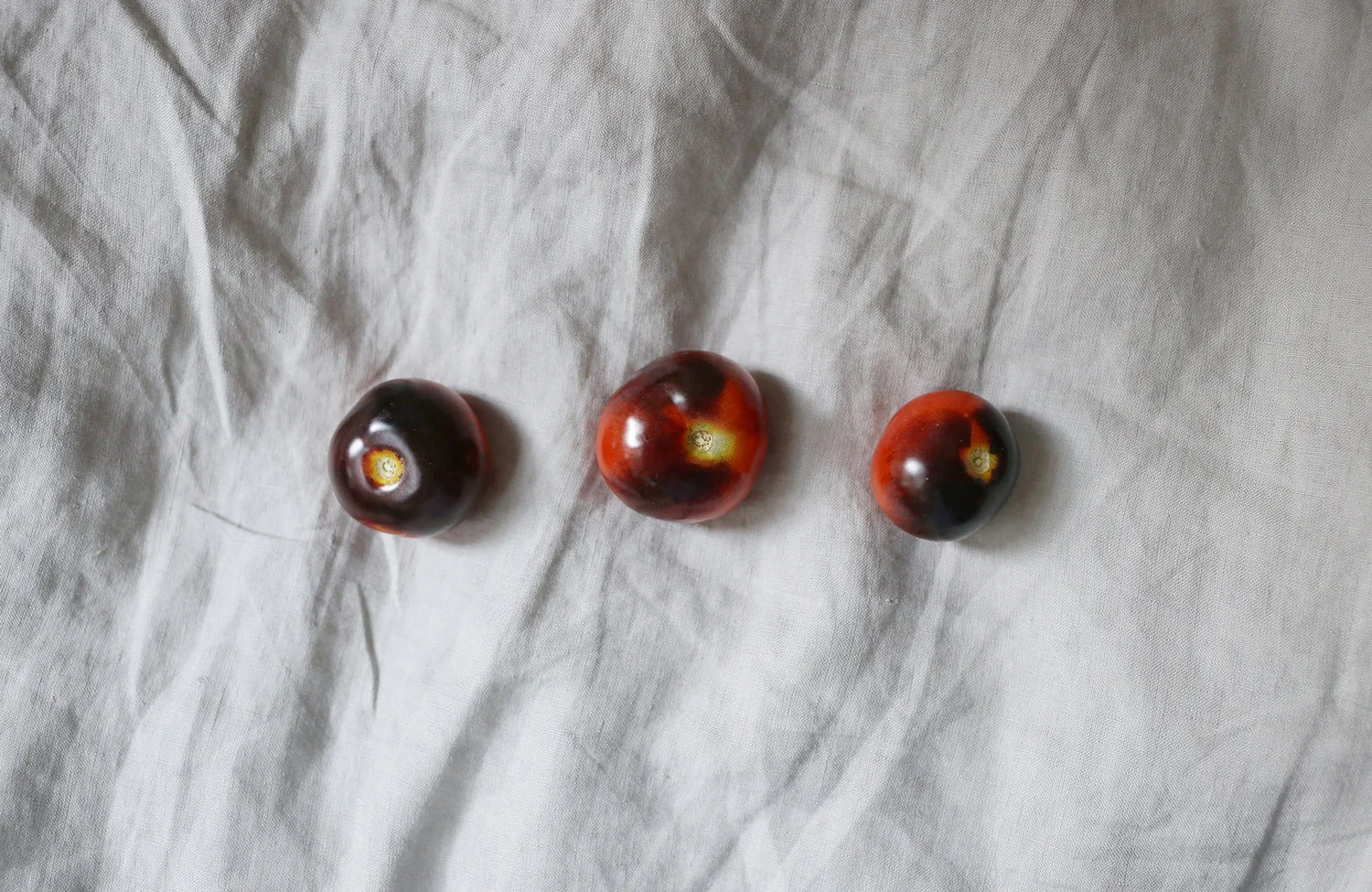 Tomatoes-web.jpg