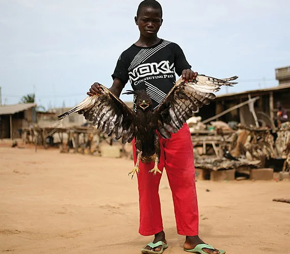 Mystic Drum Horizontal.jpg