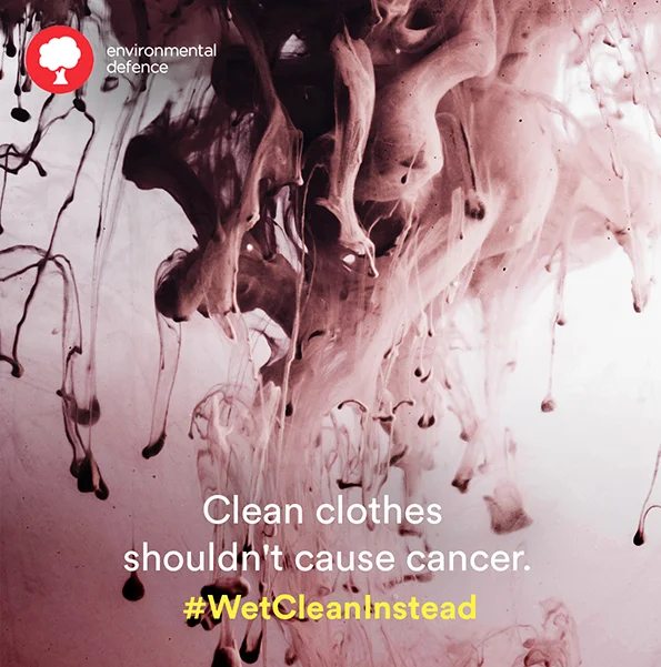 23 Environmental Defence Instagram.jpg