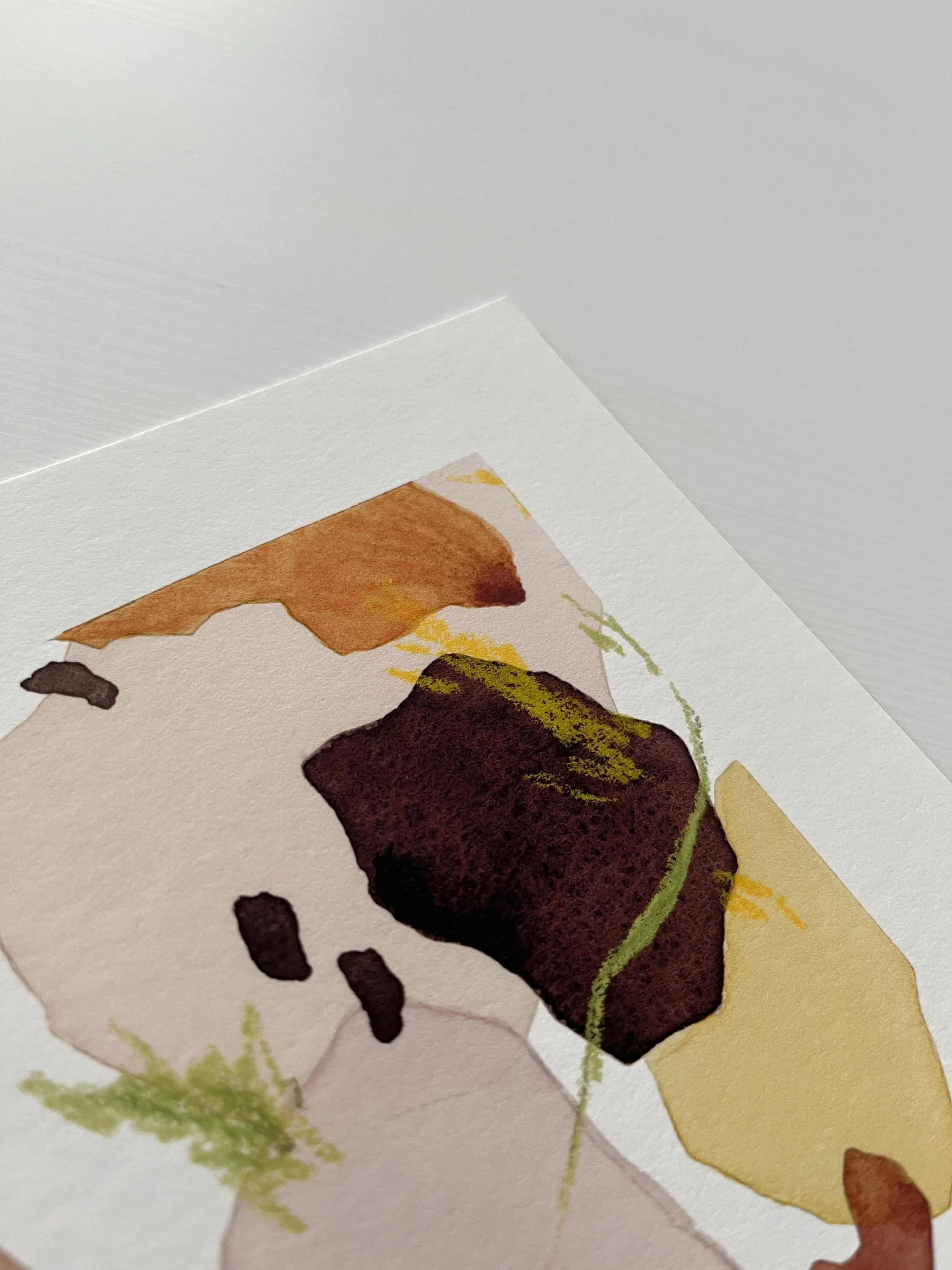 summ-pansy1-print2.jpg