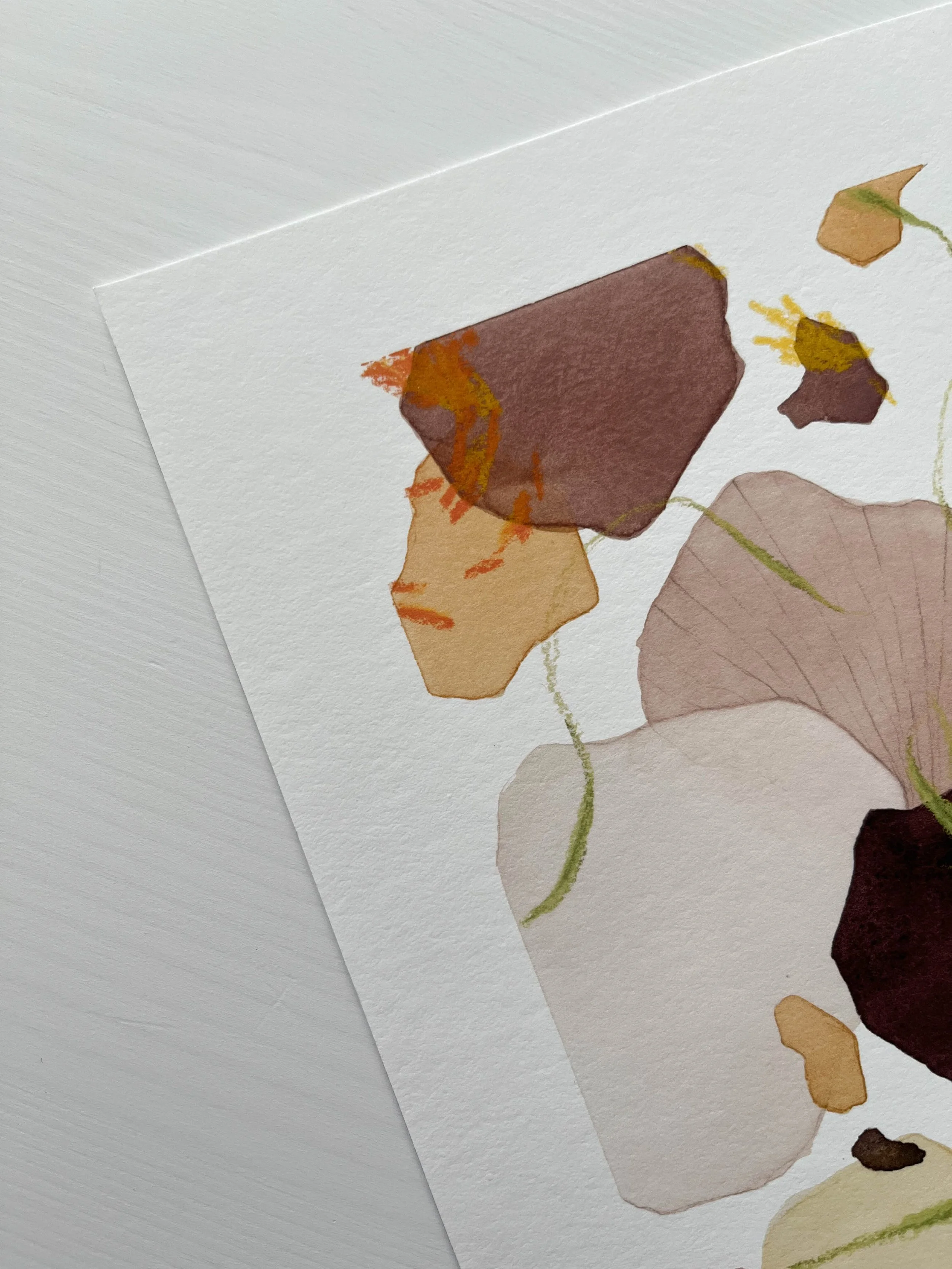 summ-pansy1-print3.jpg