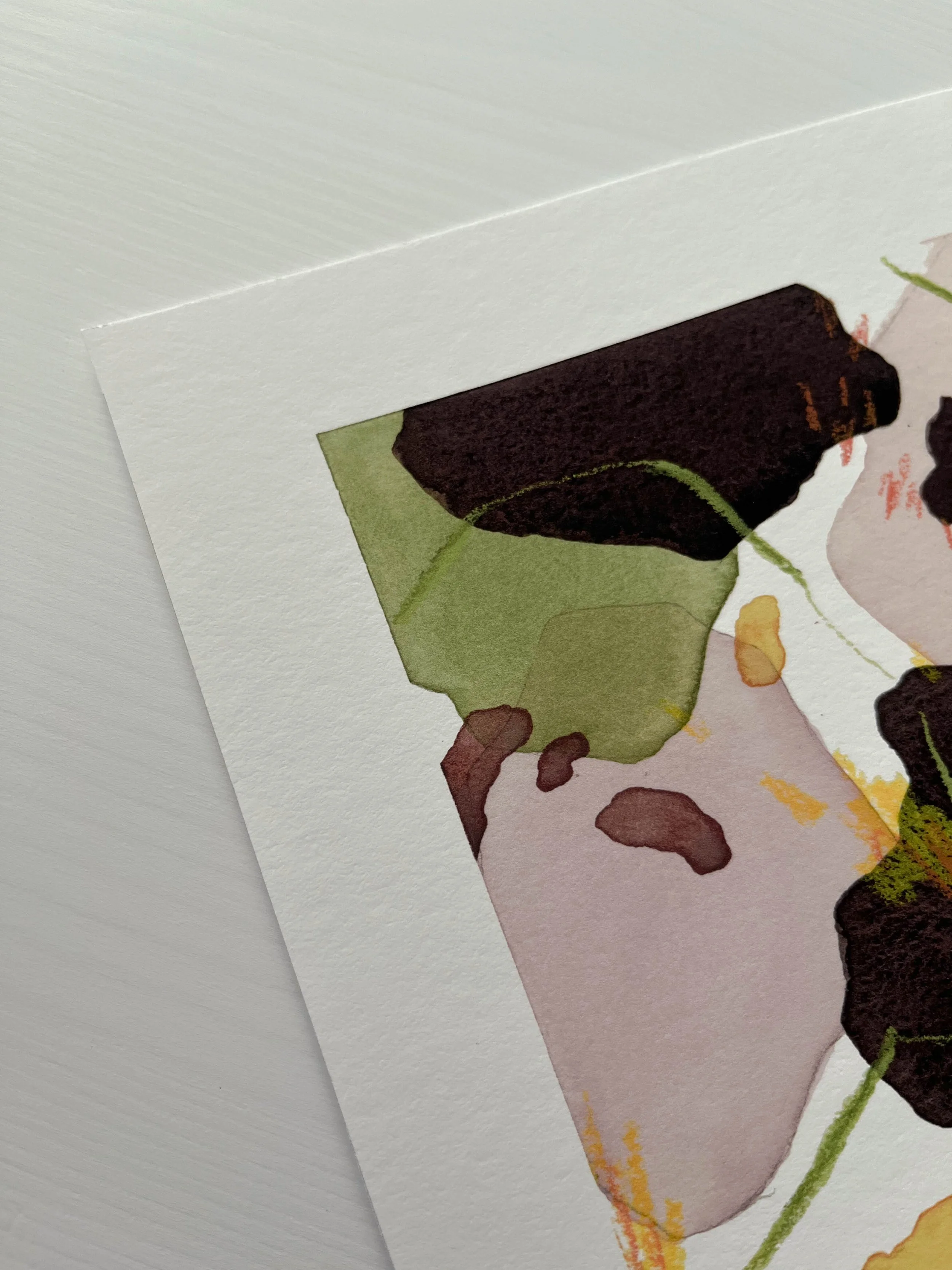 summ-pansy3-print2.jpg