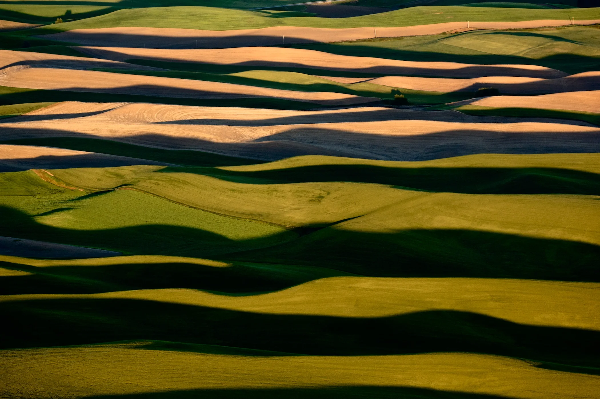 AGRICULTURAL DOMINANCE, THE PALOUSE, WASHINGTON