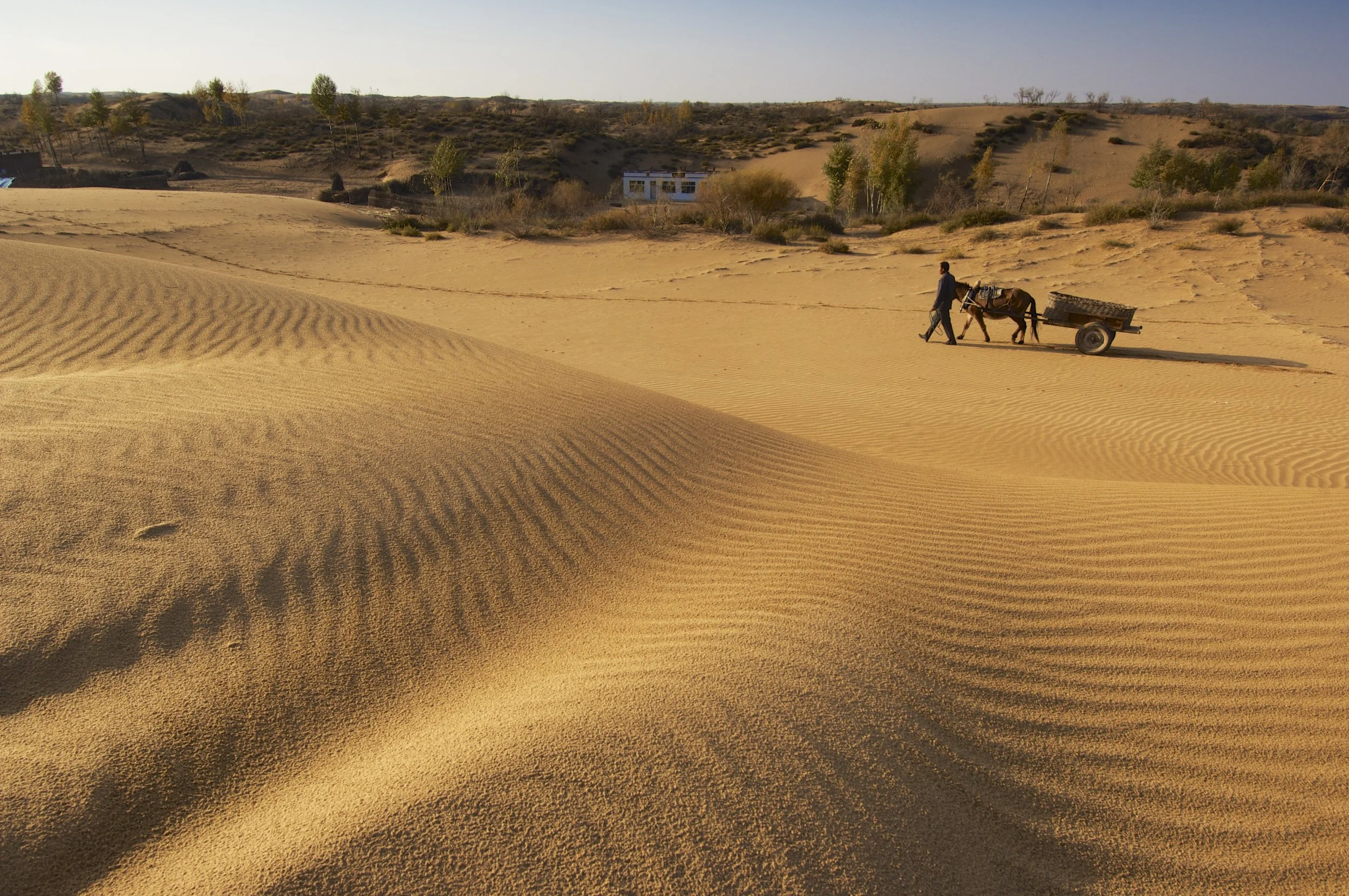ENCROACHING SAND DUNES, CHINA
