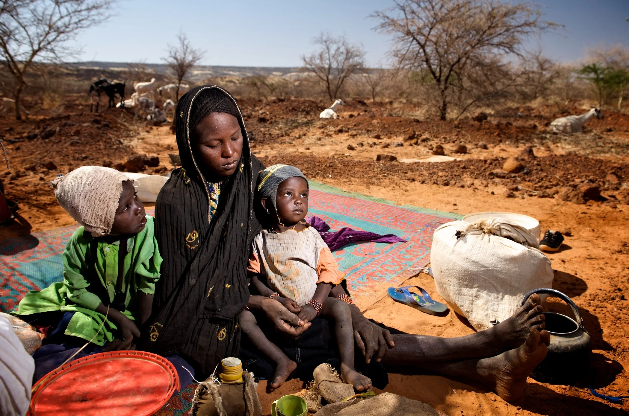 NOMADIC GRAZING FAMILY, NIGER
