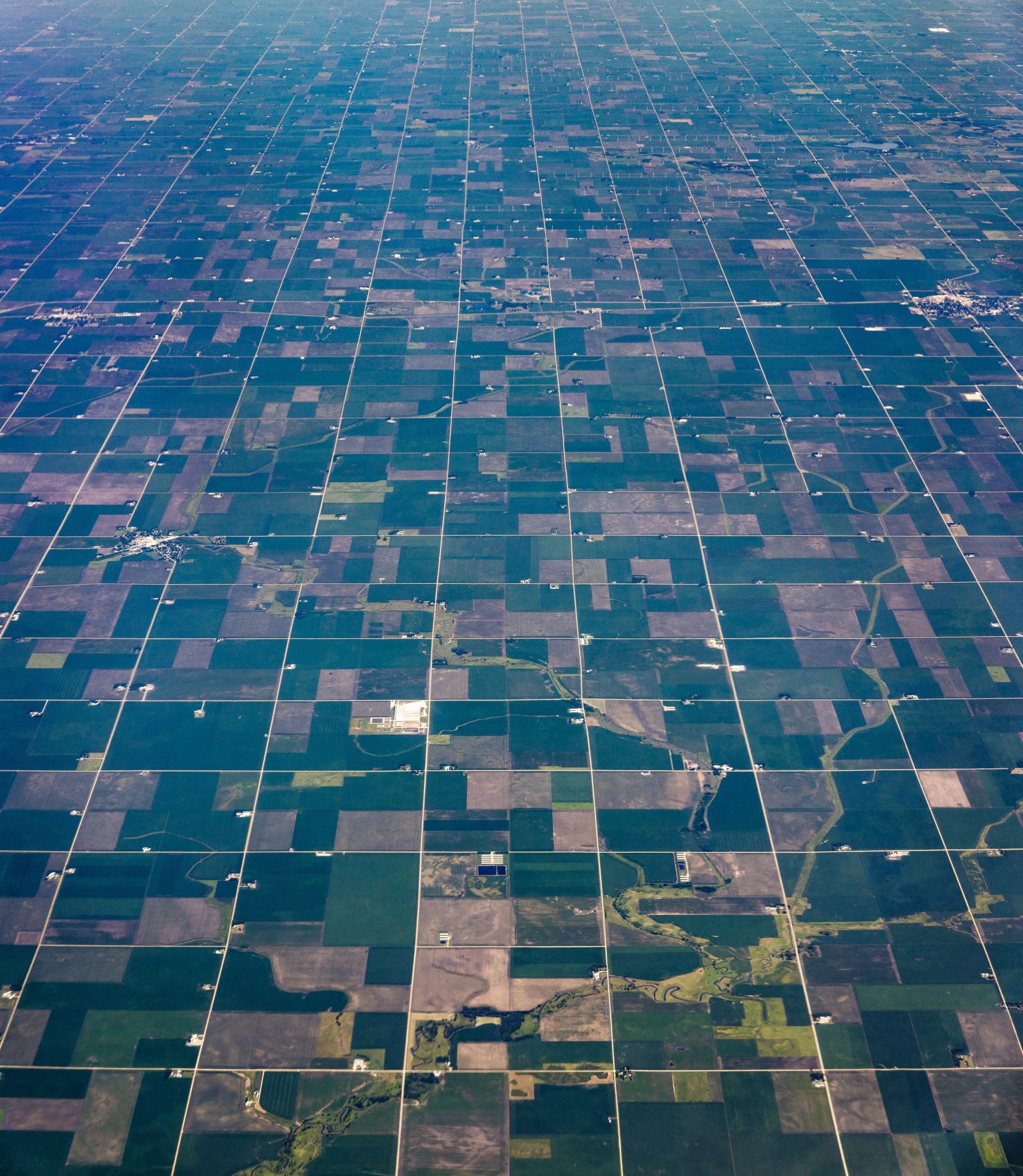 Hancock County Iowa ( Latitude 42°56'21" N Longitude 93°52'24" W ) by Dennis Dimick, July 6, 2017.