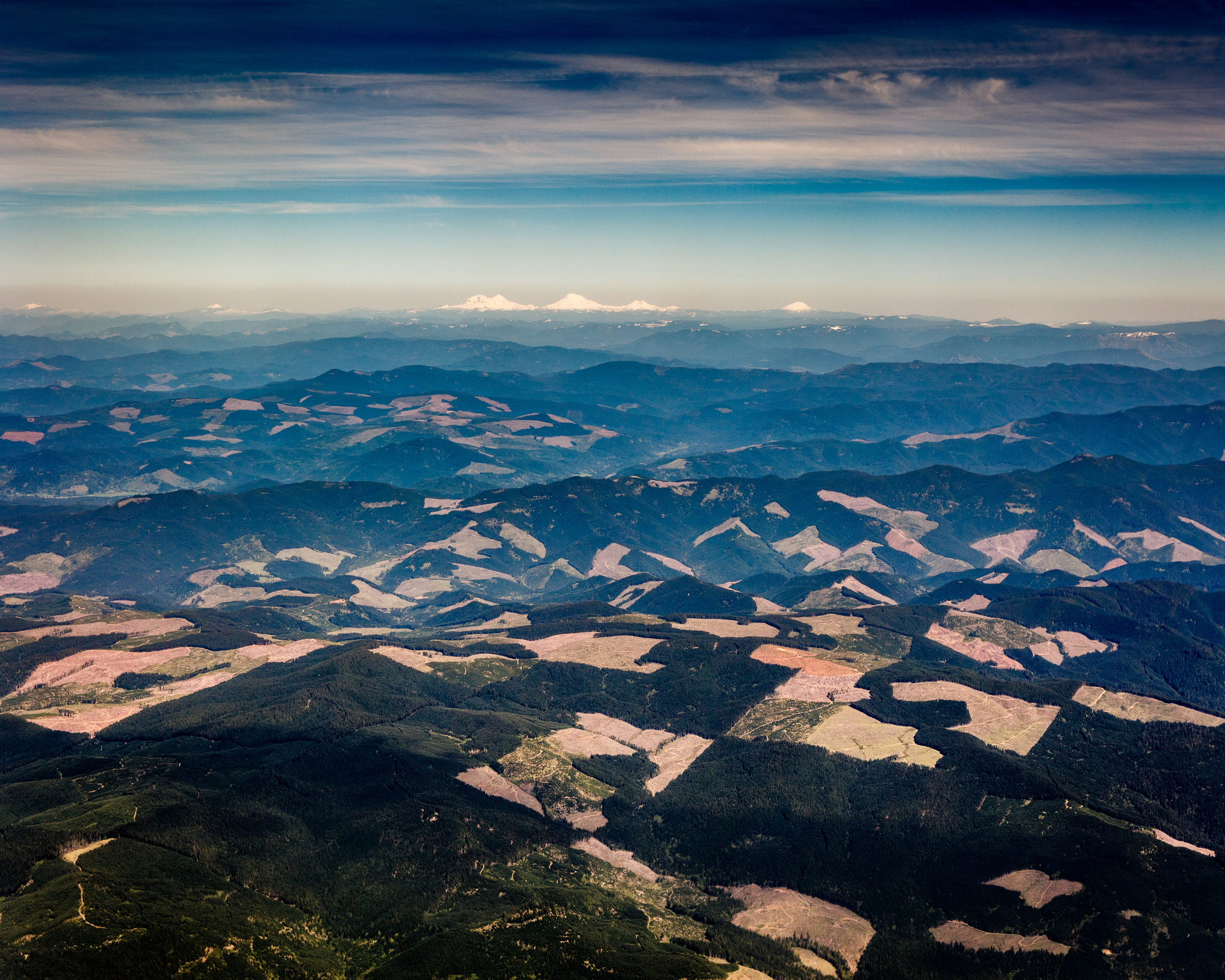 Cascade Mountain Clearcuts near Eugene Oregon