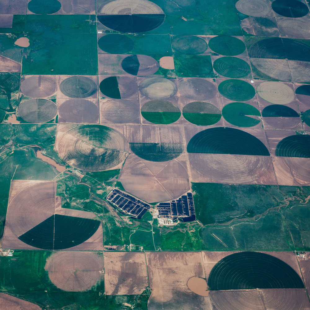 Feedlot west of Hereford, Texas 