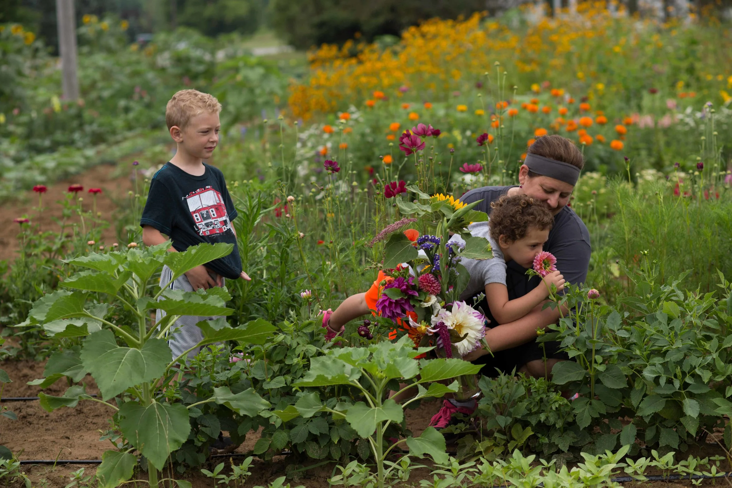 July 2019_GardenView Flowers Upick Flowers Soft Opening-6455.jpg