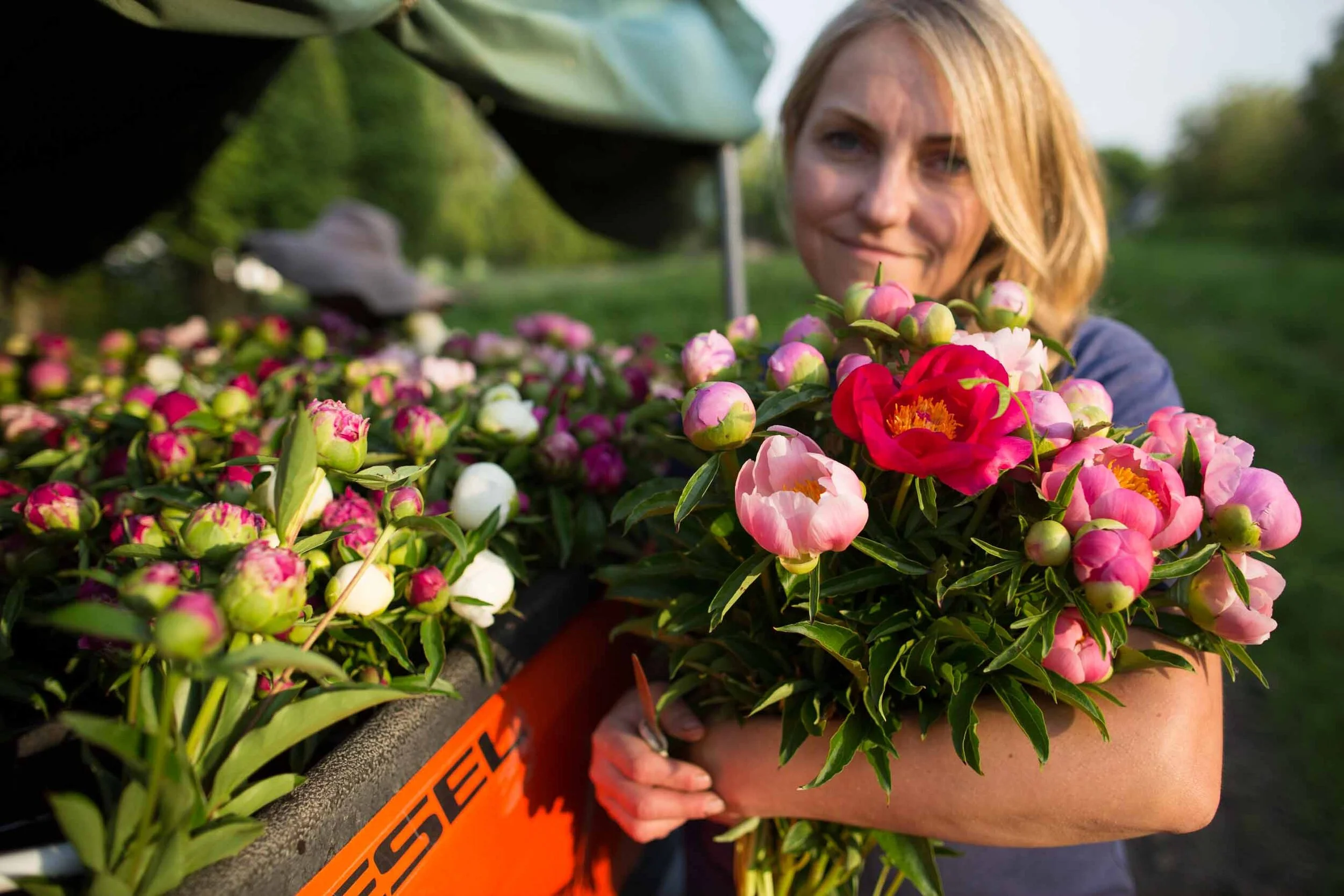UNEDITED_HomeFarmVisit2018_Peonies-8379.jpg