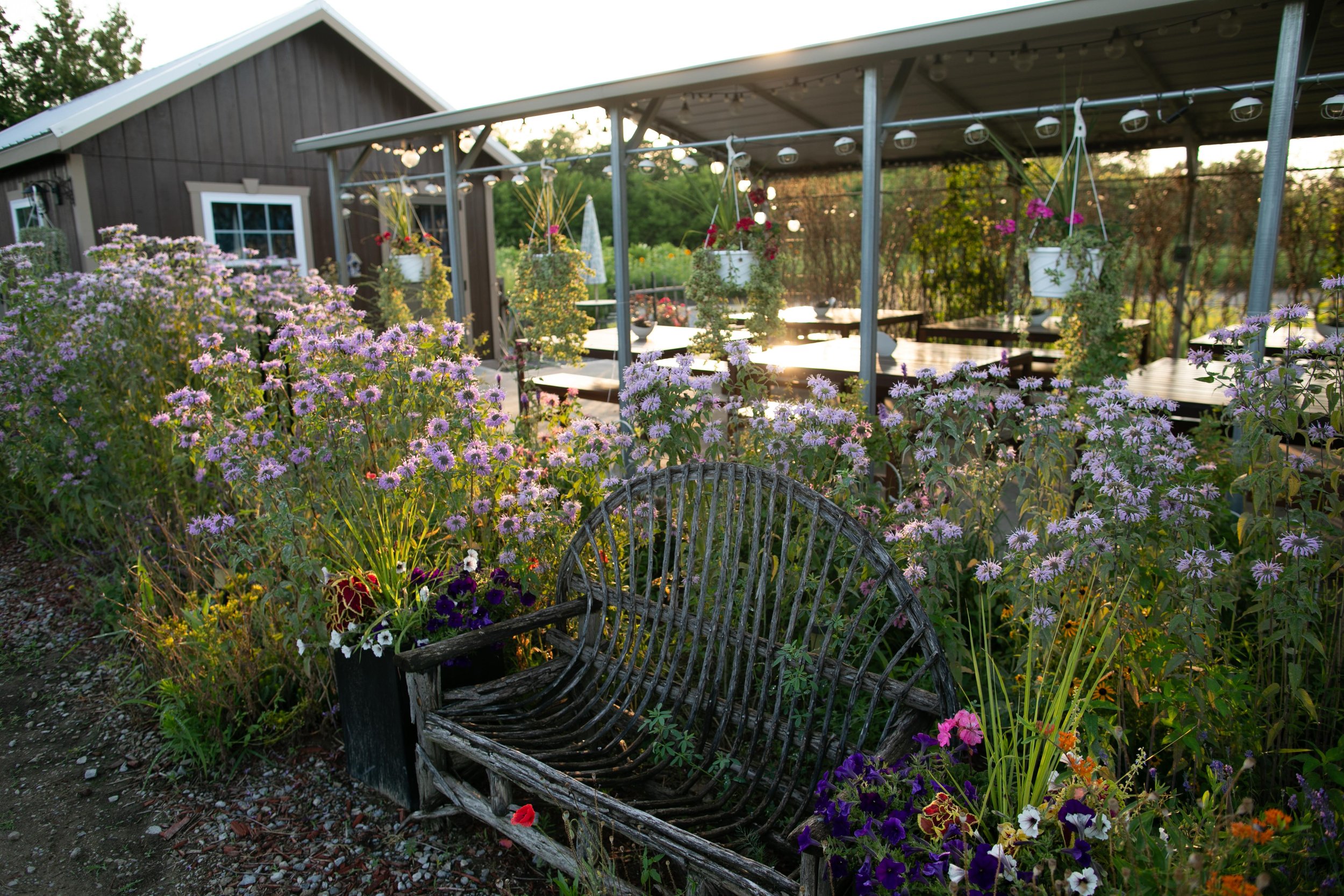 2023 GardenView Flowers U-Pick & Flower Farm_Photo by Ellie Van Houtte-7079.jpg