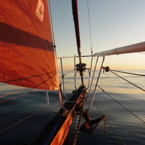 The Great Warkworth Photo Competition | Morphum Environmental