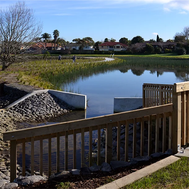 Brylee Drive Reserve Wetland in Takanini. Construction of the wetland was completed in June 2017.