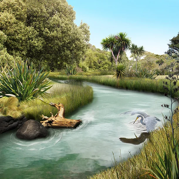 Concept design visualisation for the proposed stream restoration at Okahu Bay.