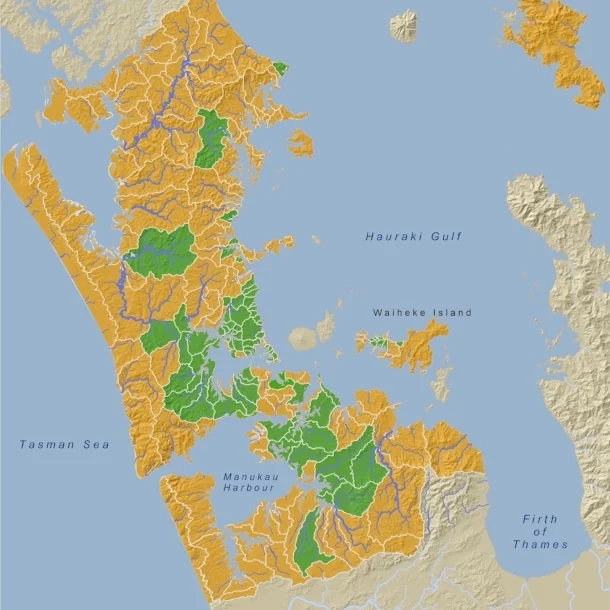 This map shows the catchment-by-catchment progress of stream surveys carried out in the Auckland region by Morphum Environmental and other consultants. The green areas show surveyed catchments.