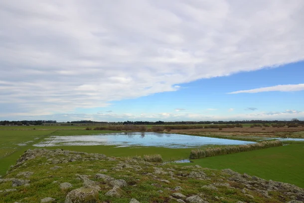 Overview of Te Ahuriri Reserve prior to works.