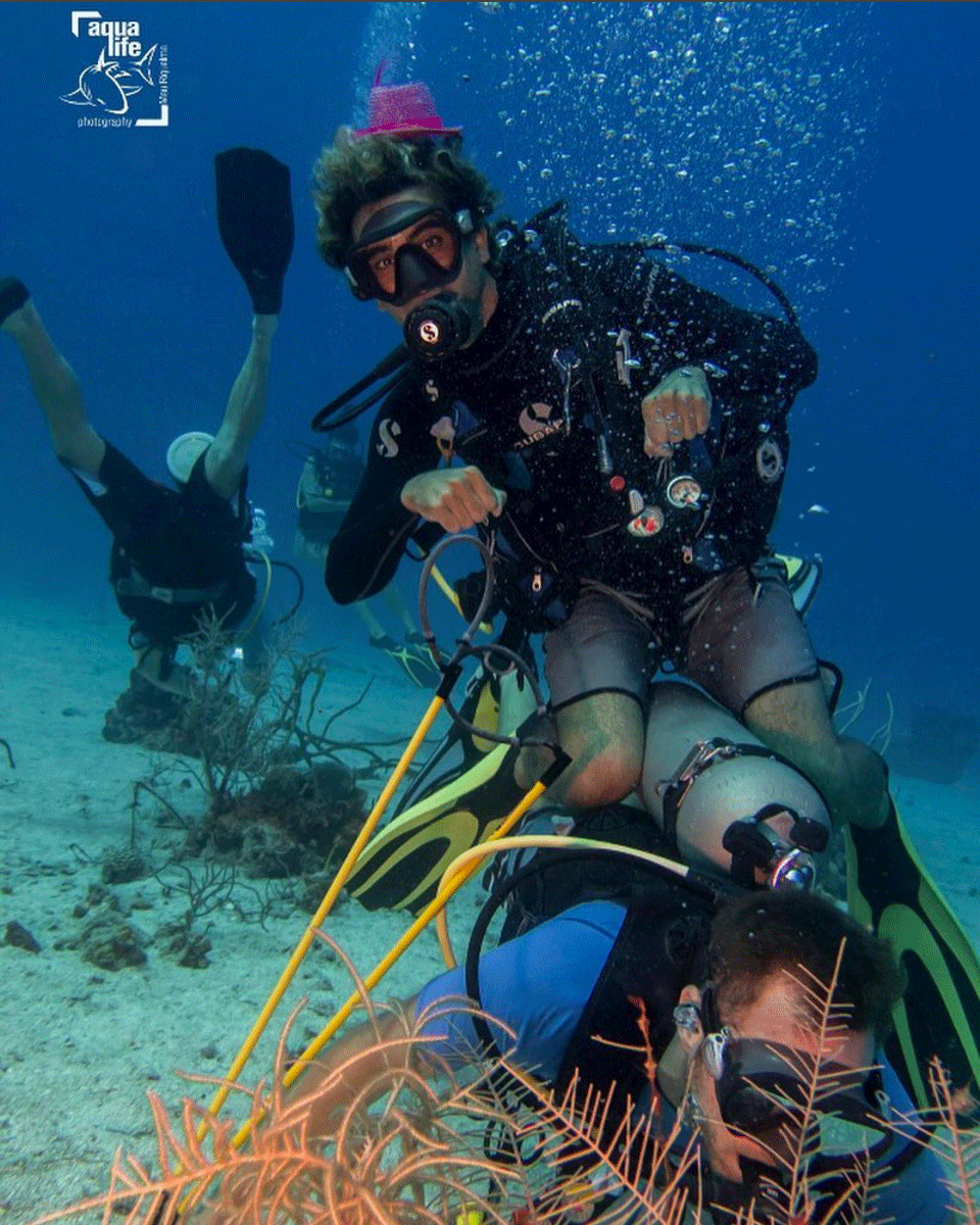 Exhibit A: DM Alex Lichtblau displays his demonstration quality SSTBM (seahorse single-tank back mount leg cradle) positioning on T-Bone McGoan. Photo credit to Mauricio Riquelme of AquaLife Photography
