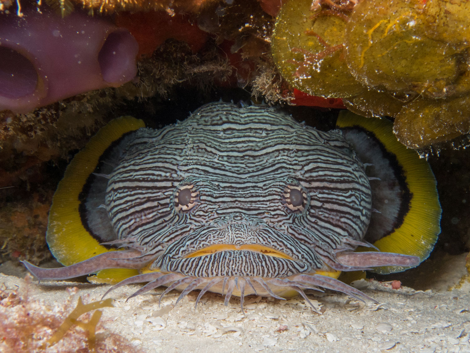 AL-IU_180410_Dive-Travel_0704.jpg