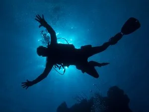 How to Choose a Dive Shop / Ocean Tour Operator