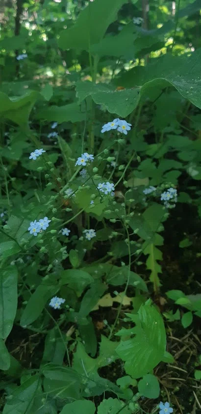 20190624_160953.jpg