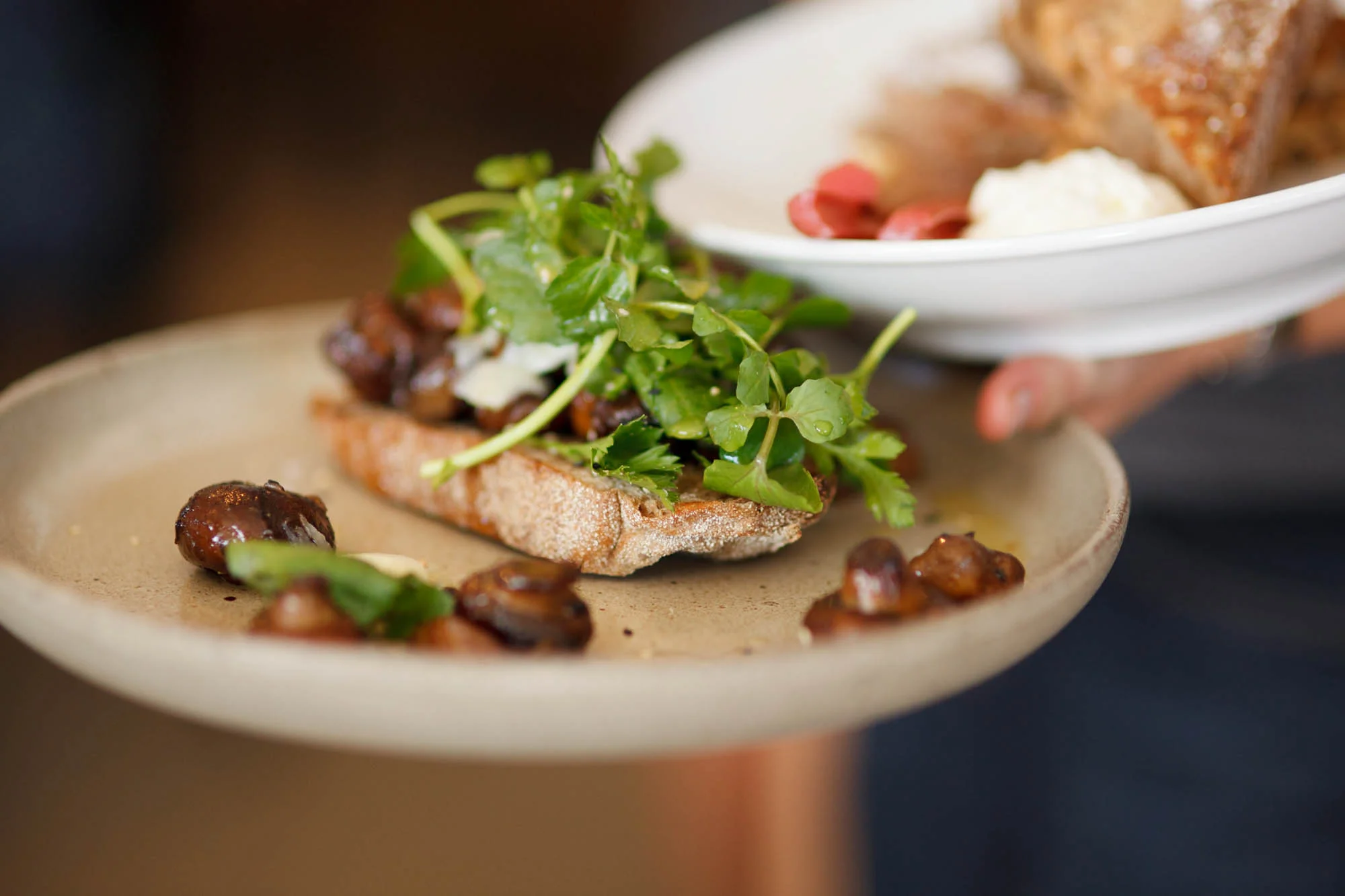 Sautéed Mushrooms on Sourdough Breakfast dish at West Juliet Ca