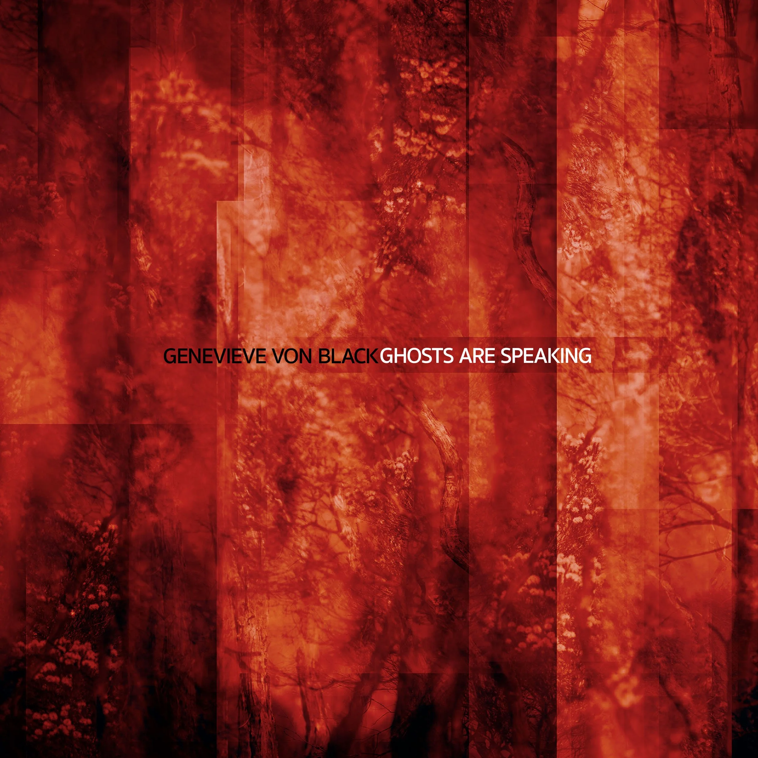 Ghosts Are Speaking SINGLE COVER V0 B.jpg