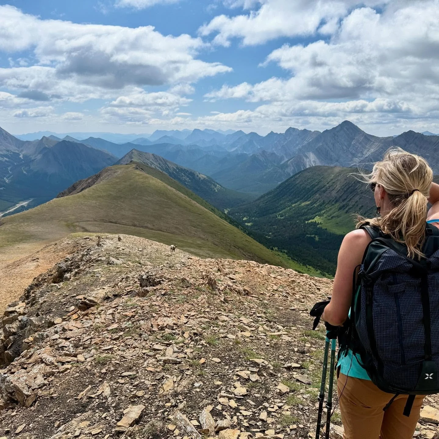 Highwood Ridge and Grizzly Ridge with Mike. 

What a circuit! Linked two long ridges to make a loop. Some fun scrambling to keep things exciting. 😅

🏔️ 15km approx
🏔️ 1,342m cumulative elevation gain 
🏔️ 2,780m max elevation
