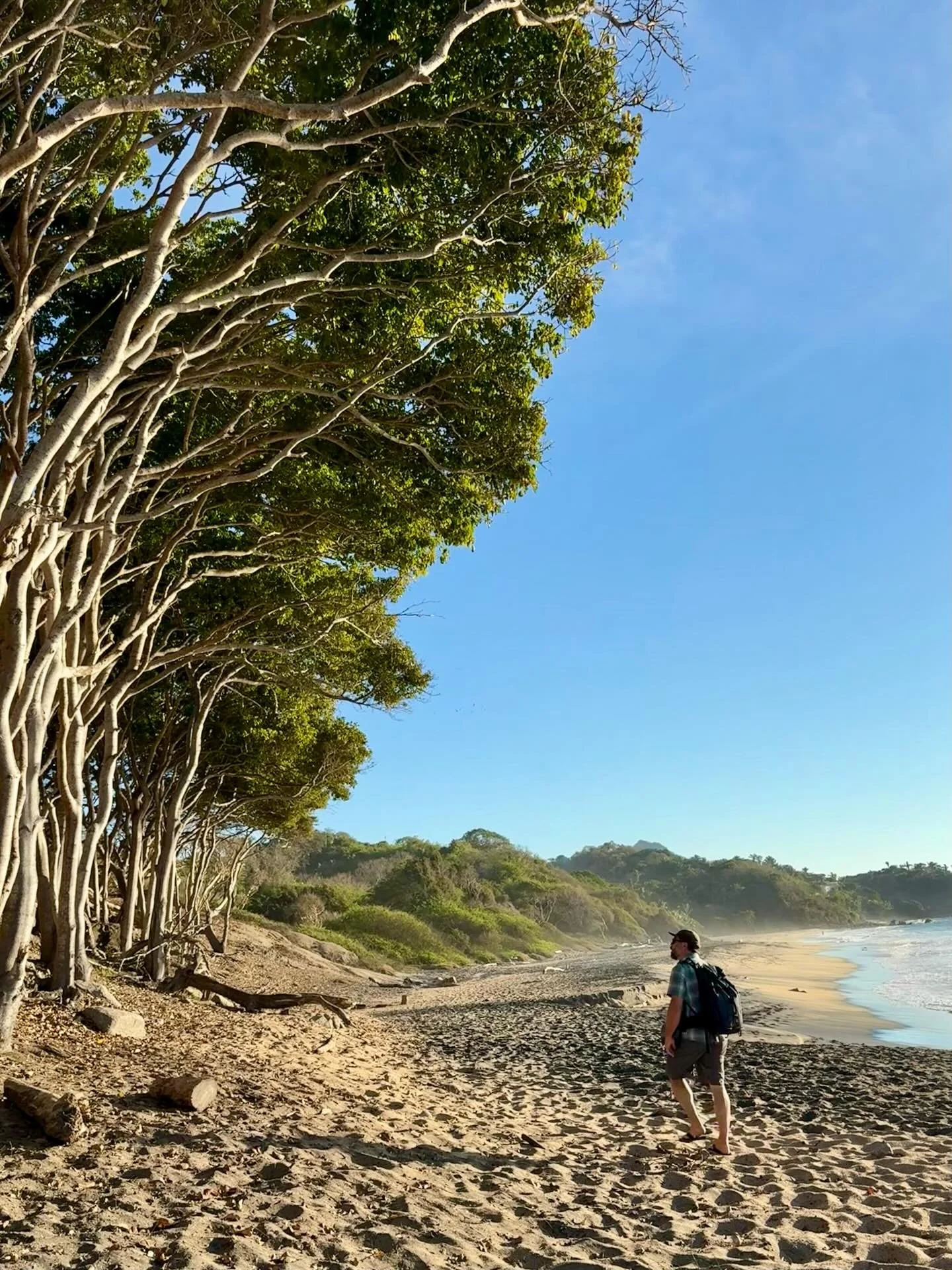 Jungle walks, beaches, and sunsets. I love exploring our beautiful world. 

#sayulita 
🇲🇽
