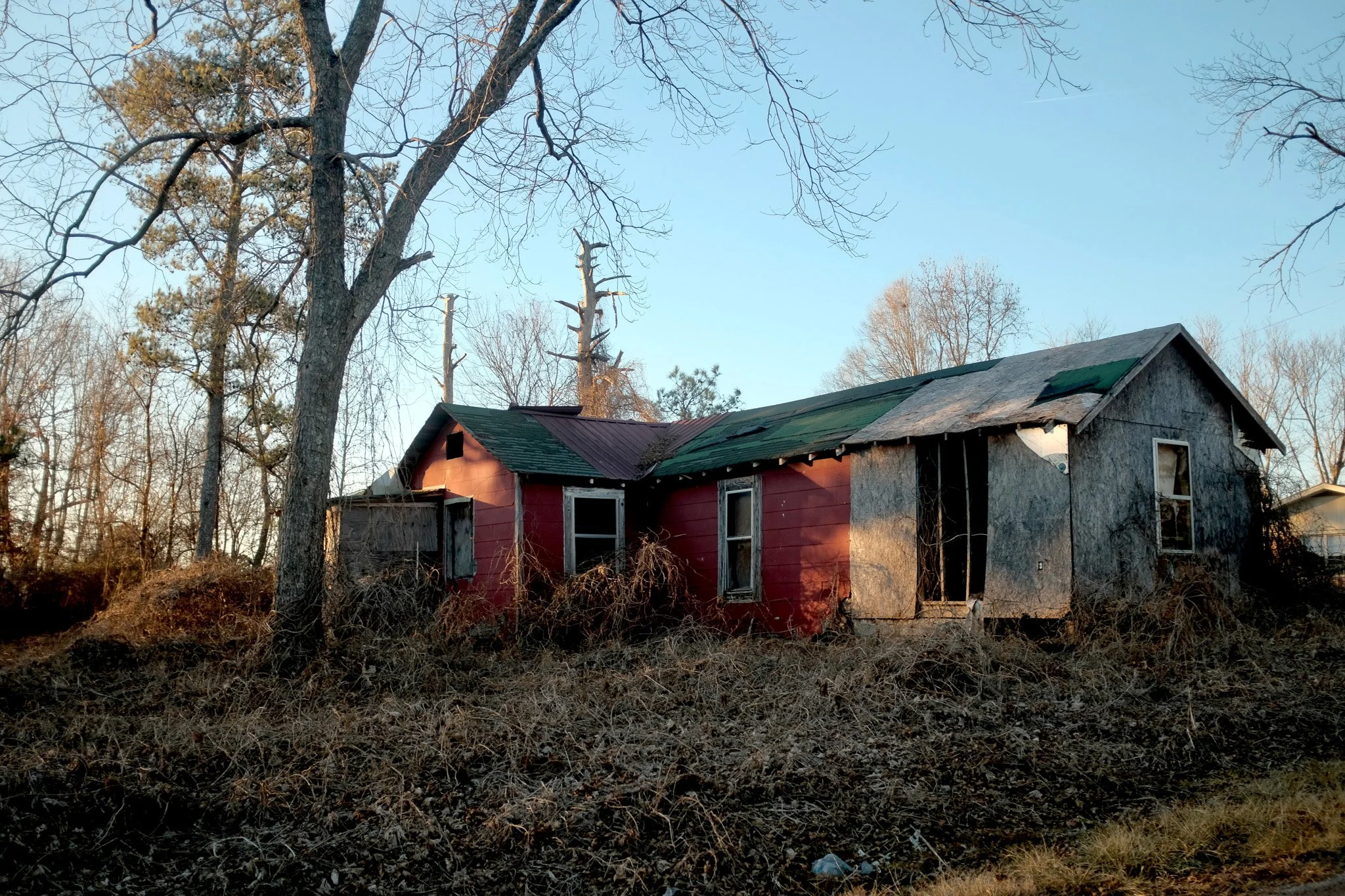DSCF7719.jpg