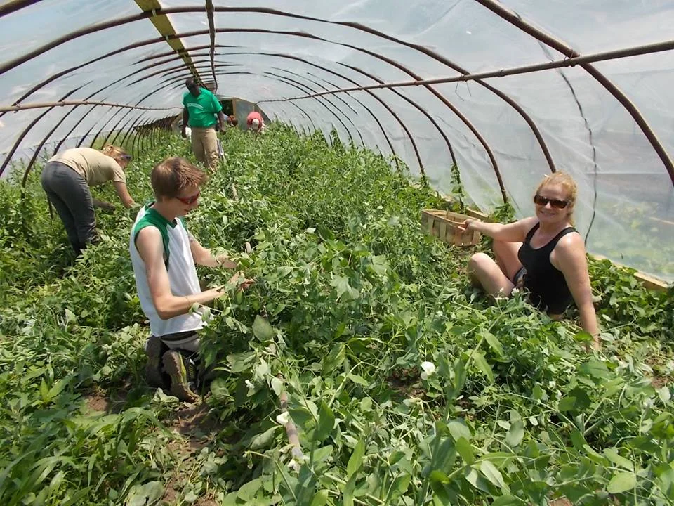OHC-BarrFarm-VolunteerDay.jpg