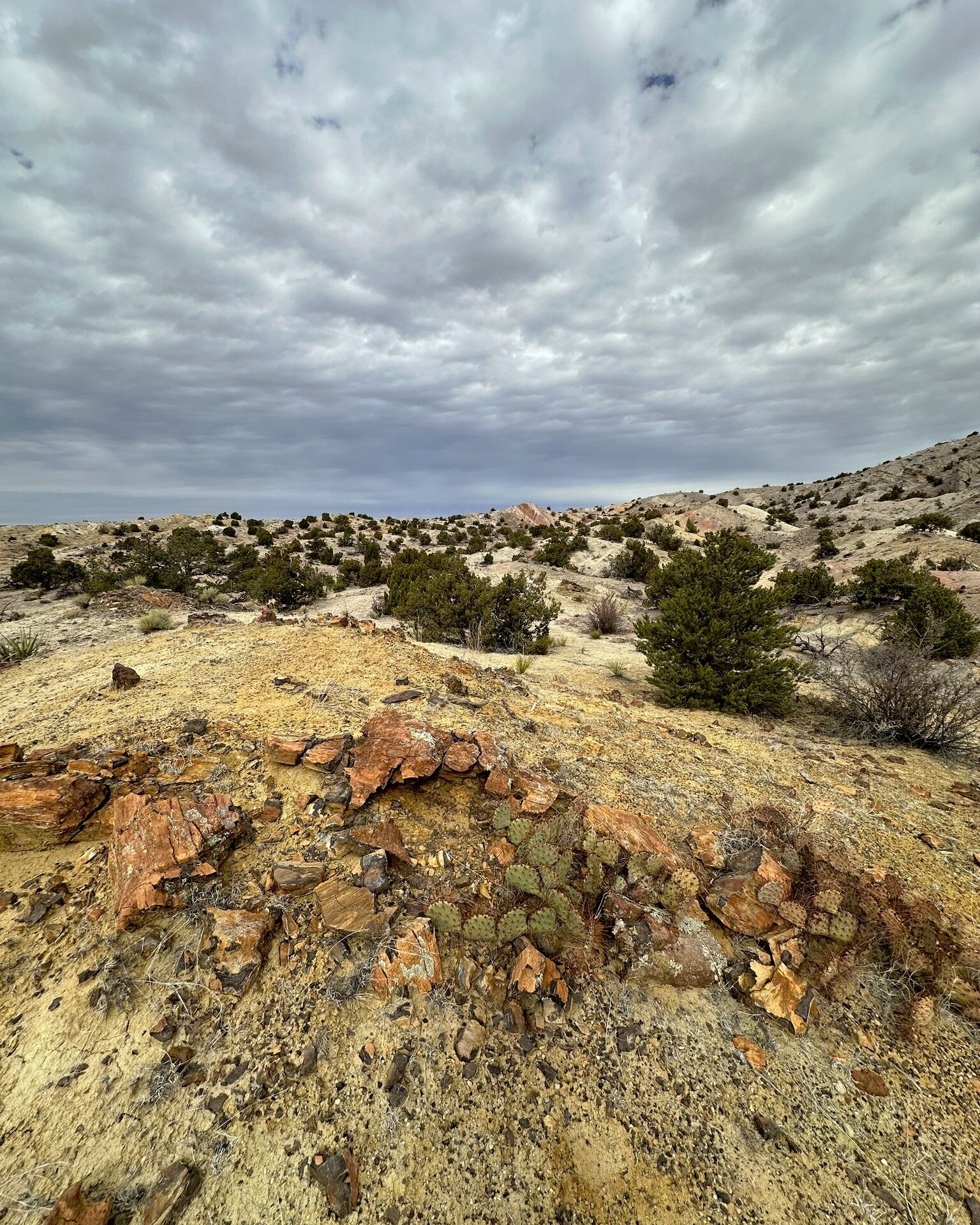 Ball Ranch (Class 2) led by NMMC Hike Section Trip Leader Brian A. #hiking #hikinglife #hikingtrails #hikingculture #NewMexico #newmexico #newmexicotrue #newmexicoskies #newmexicohiking #newmexicohikingclub #newmexicohikinglife #newmexicohikingtrail 