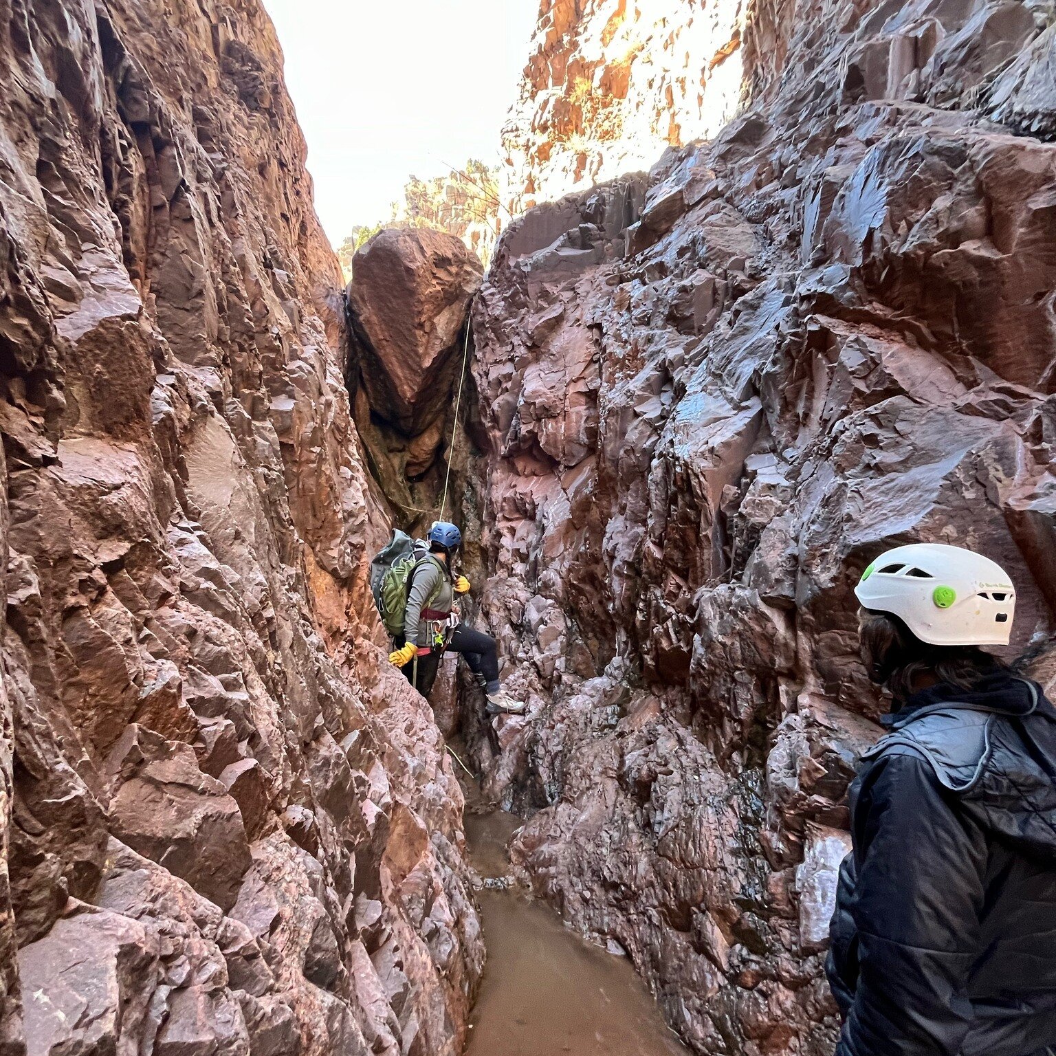Canyoneering: Leap Year Descent of the Ice Box. Led by NMMC Climb Section Leader Corey N. #climbnewmexico #NMMC #newmexicoadventure #canyoneering #newmexicoclimbingroup #newmexicomountainclub #icebox