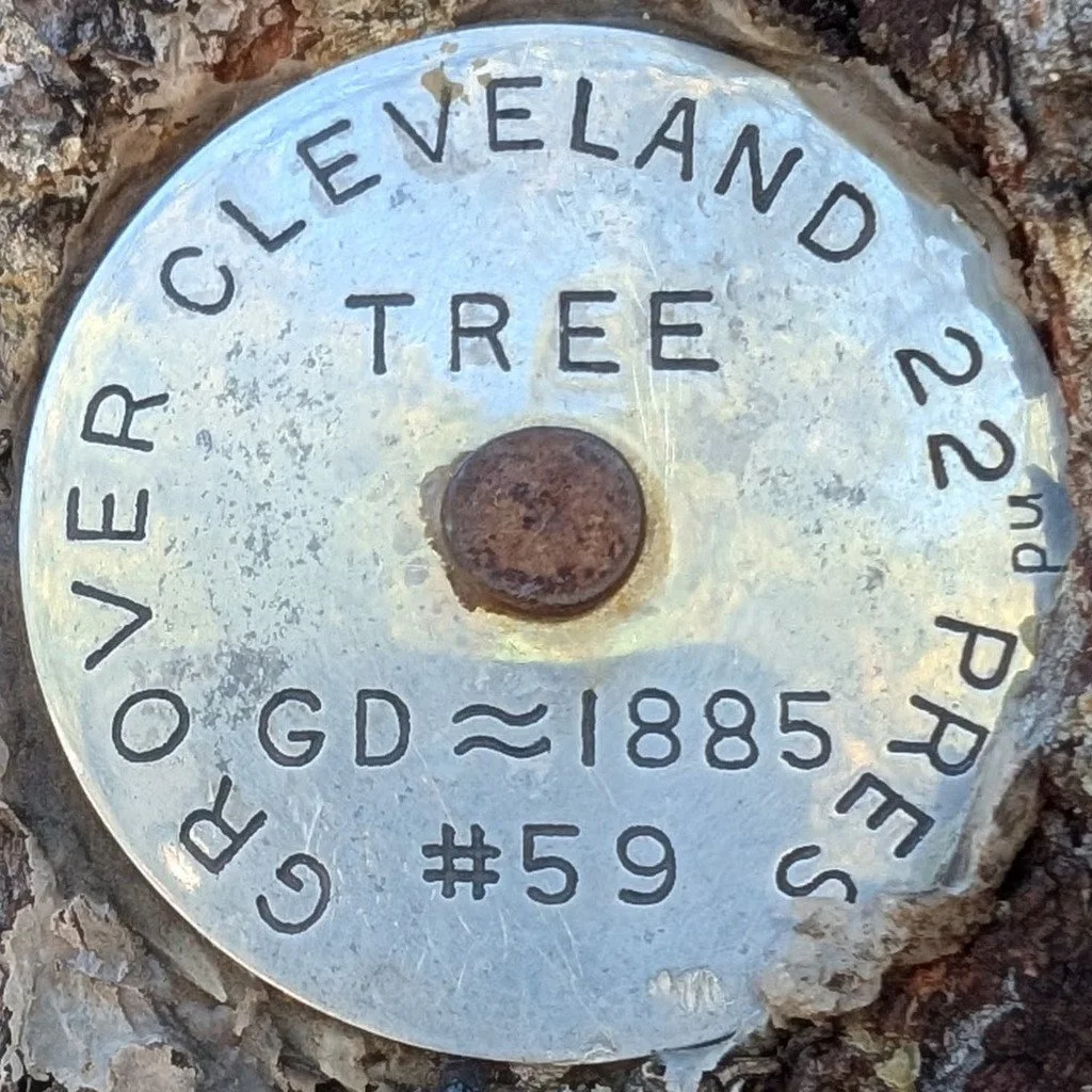Medallion Hike #9 - South Peak #2 (Class 2+) led by NMMC Hike Section Trip Leader Robert E.

#medalliontrees #sandiamountains #medallionhike #nmmc #nmmountainclub #nmhiking #hmhikingclub #nnmtrue #nmexploring #nmadventure #hikinggroupnm #hikewithfrie