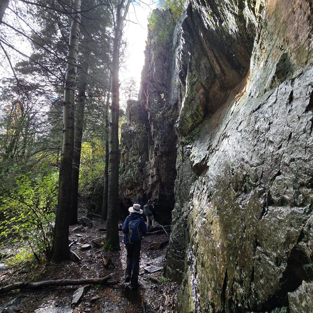 Spruce Spring-Red Canyon Loop (Class 2)  led by NMMC Hike Section Trip Leader Marsha R. 

#sprucespring #redcanyon #manzanomountains #nmmc #nmmountainclub #nmhiking #hmhikingclub #nnmtrue #nmexploring #nmadventure #hikinggroupnm #hikewithfriendsnm #h