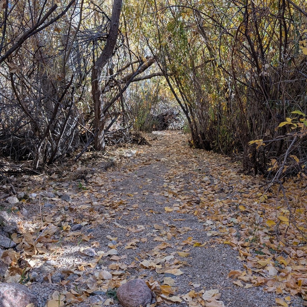 Juan Tabo Canyon Loop (Class 2) led by NMMC Hike Section Trip Jennifer B.

#juantabocanyon #nmmc #nmmountainclub #nmhiking #hmhikingclub #nnmtrue #nmexploring #nmadventure #hikinggroupnm #hikewithfriendsnm #hikinglife