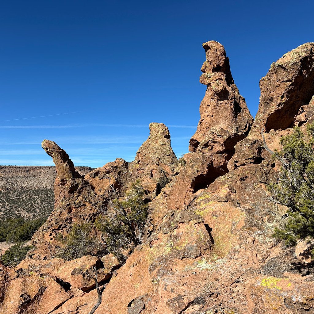 Jemez Exploratory: Sentinel Ridge Loop (Class 2+) led by NMMC Hike Section Trip Leader Doug F.

#jemezmountains  #nmmc #nmmountainclub #nmhiking #hmhikingclub #nnmtrue #nmexploring #nmadventure #hikinggroupnm #hikewithfriendsnm #hikinglife