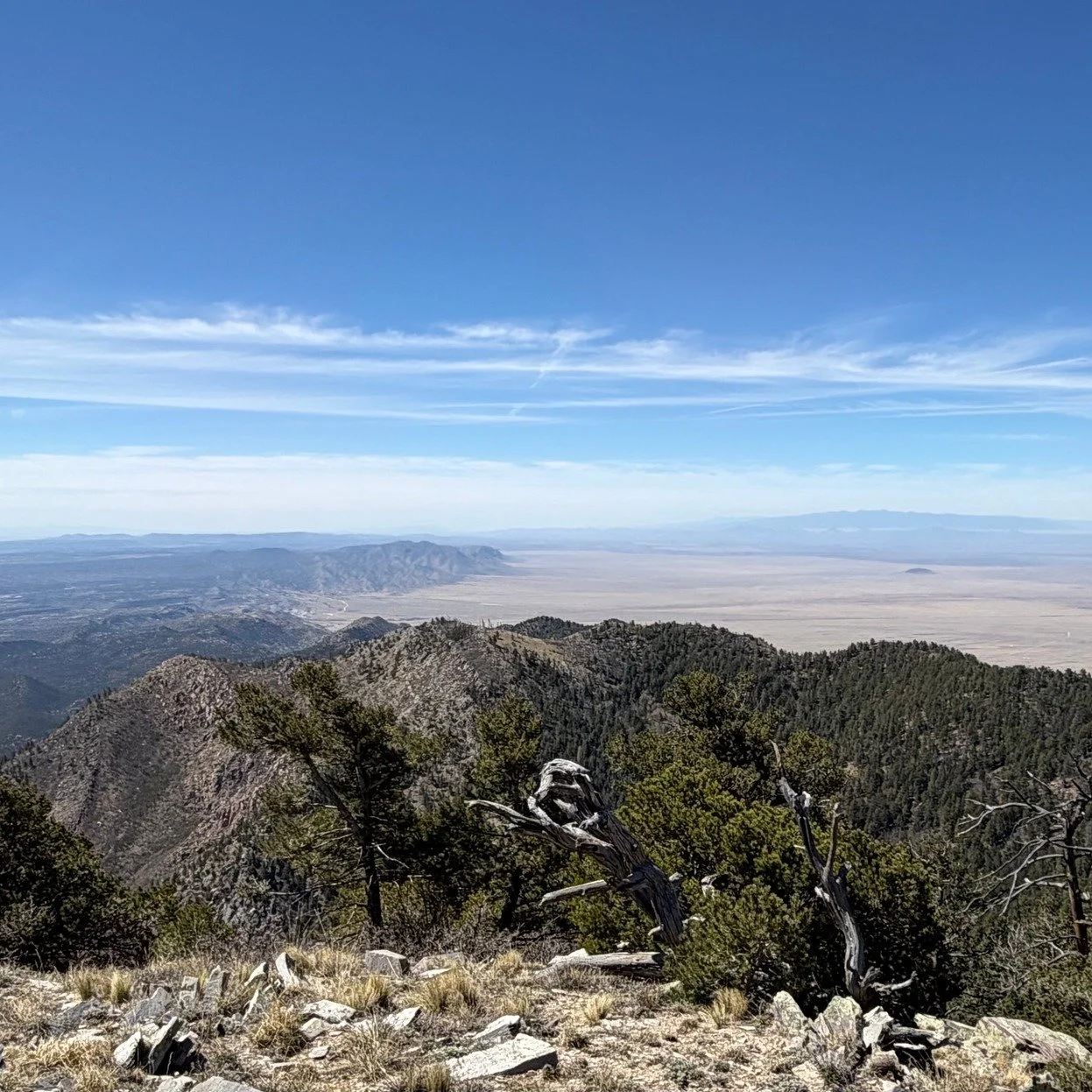 Muster Upon Manzano Peak-class 2 led by NMMC Hike Trip Leader Randi #nmmc #nmexploring #nmhikeaholic #nmhikingtrails #nmhikes #nmtruebeauty #nmtrueskies #nmtrue❤ #nmhikingclub #nmhiking #nmtrue #nmmountainclub #nmhikingadventures #nmhikinggroup #nmad
