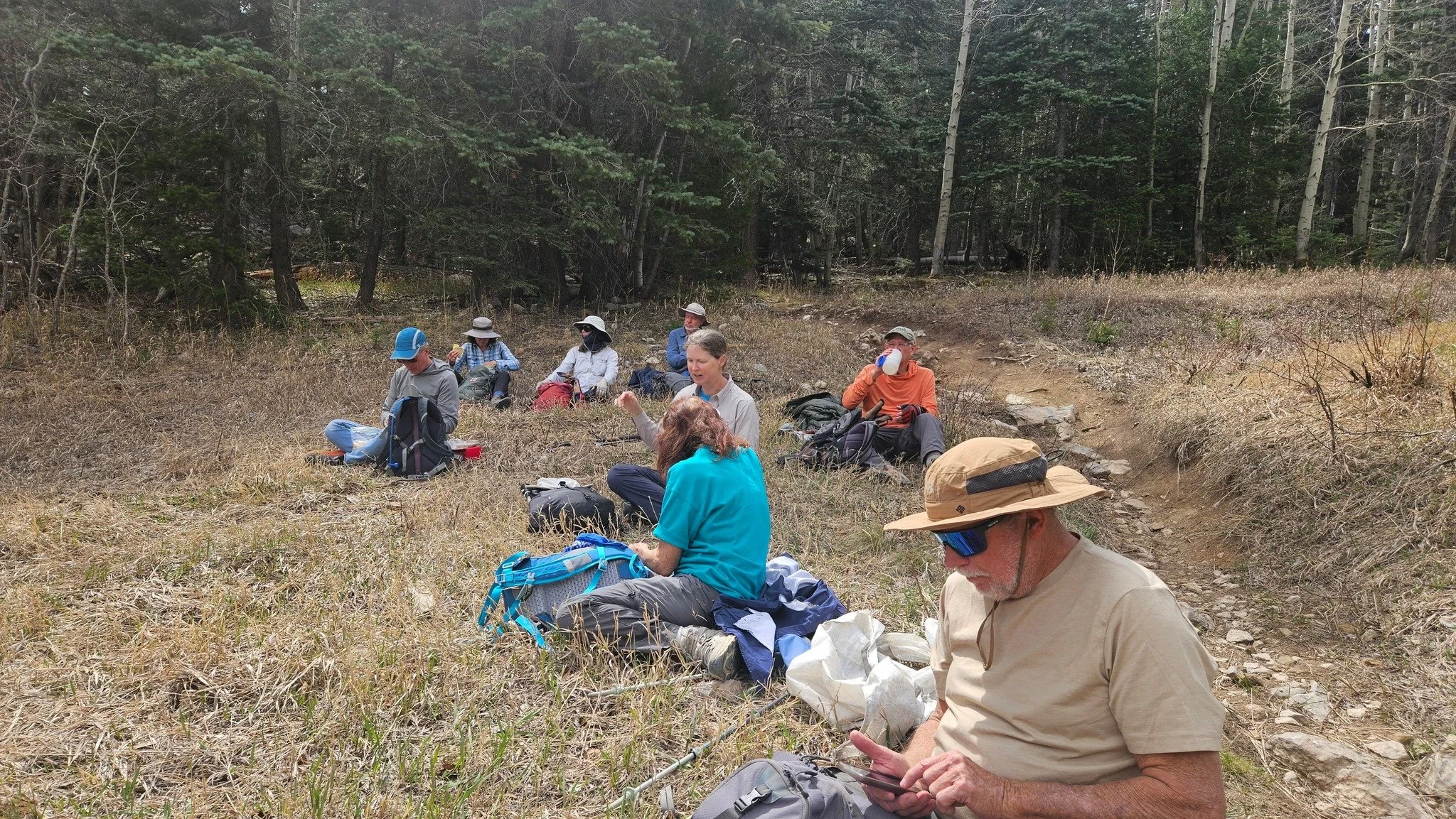 Tree Spring/10K/Golden Eagle/Challenge, Class 2, 8 miles, 1500 ft. elev. gain led by NMMC Trip Leader Jennifer B #nmmc #Sandiasnm #nmhikeaholic #nmhikingtrails #nmhikes #nmtruebeauty #nmtrueskies #nmtrue❤ #nmhikingclub #nmhiking #nmtrue #nmmountaincl