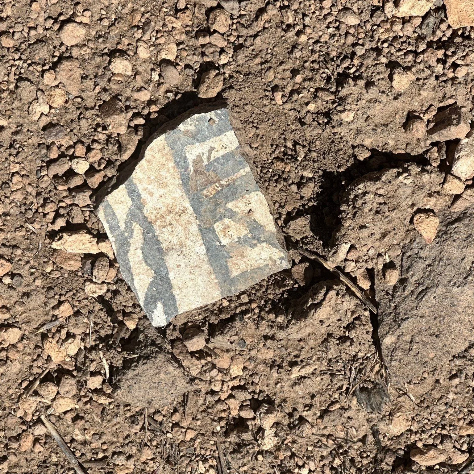 Ponderosa Mesa, class 2- E led by NMMC Hike Trip Jane B. #nmmc #nmexploring #nmhikeaholic #nmhikingtrails #nmhikes #nmtruebeauty #nmtrueskies #nmtrue❤ #nmhikingclub #nmhiking #nmtrue #nmmountainclub #nmhikingadventures #nmadventure #nmhikinggroup #nm