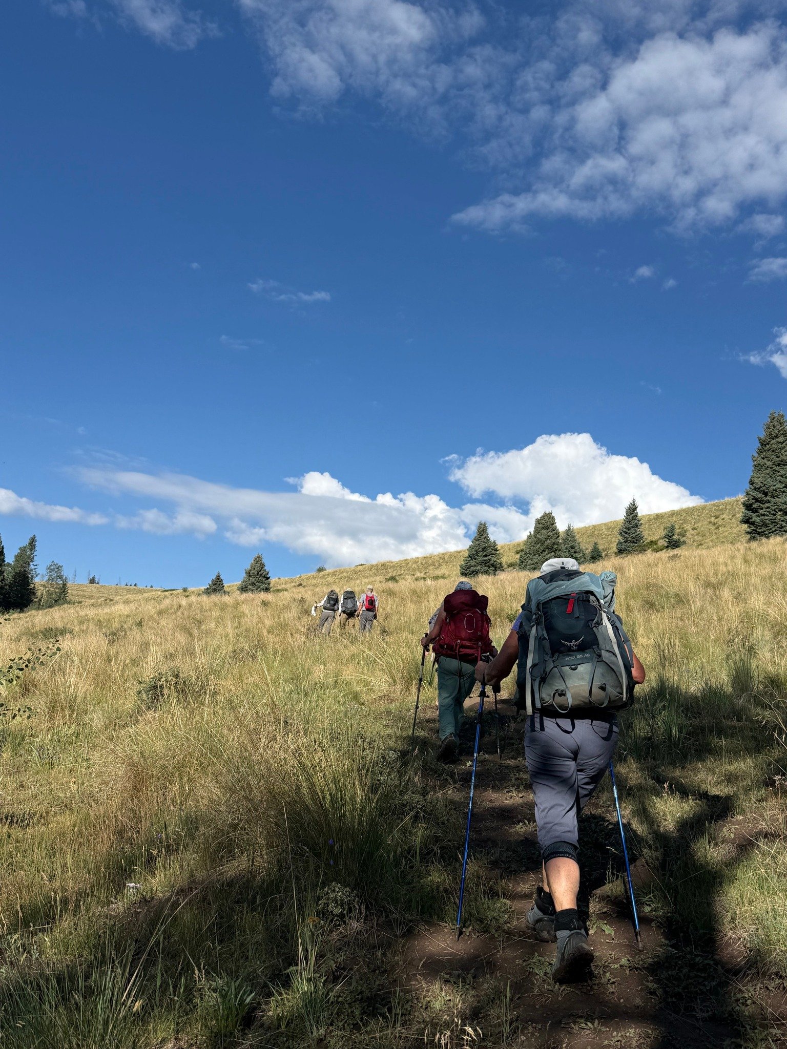Mora Flats/Pecos Falls/Hamilton Mesa Backpacking, Class 2+led by NMMC Hike Trip Leaders Jennifer B and Robert E #nmmc #nmexploring #nmhikeaholic #nmhikingtrails #nmhikes #nmtruebeauty #nmtrue❤ #nmtrueskies #nmhikingclub #nmhiking #nmtrue #nmmountainc
