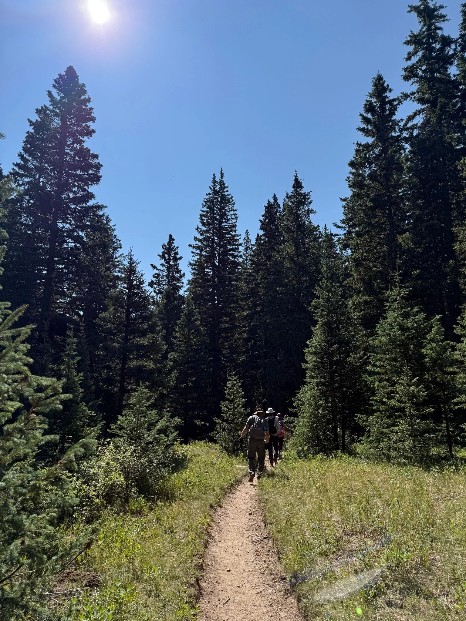 Santa Fe Ski Basin &ndash; La Vega to Elevator loop&ndash; Class 2+, strenuous led by NMMC HIke Trip Leader Olivia L #nmmc #nmexploring #nmhikeaholic #nmhikingtrails #nmhikes #nmtruebeauty #nmtrue❤ #nmhikingclub #nmmountainclub #nmhikinggroup