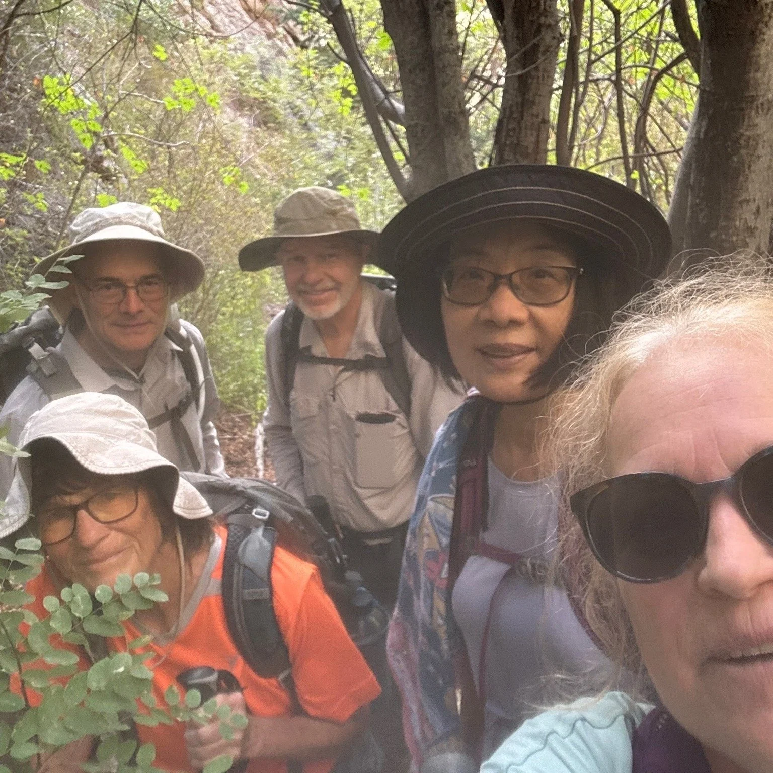 TWA Canyon to Memorial led by NMMC Hike Trip Randi #nmmc #Sandiasnm #Sandiasnewmexico #nmexploring #nmhikeaholic #nmhikingtrails #nmhikingclub #nmhiking #nmmountainclub #nmhikinggroup #nmadventures