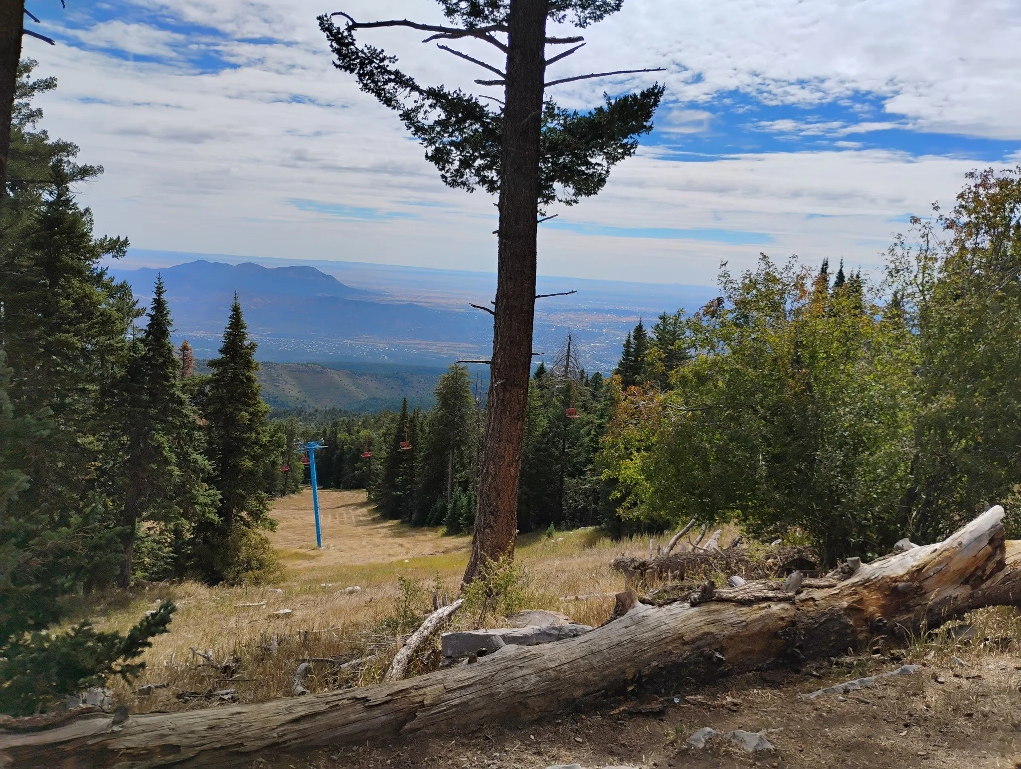 Tree Spring-Tram-Ridge Trail - Class 2 led by NMMC Hike Trip leader Beth #nmmc #nmexploring #nmhikeaholic #nmhikingtrails #nmhikes #Sandiasnm #Sandiasnewmexico