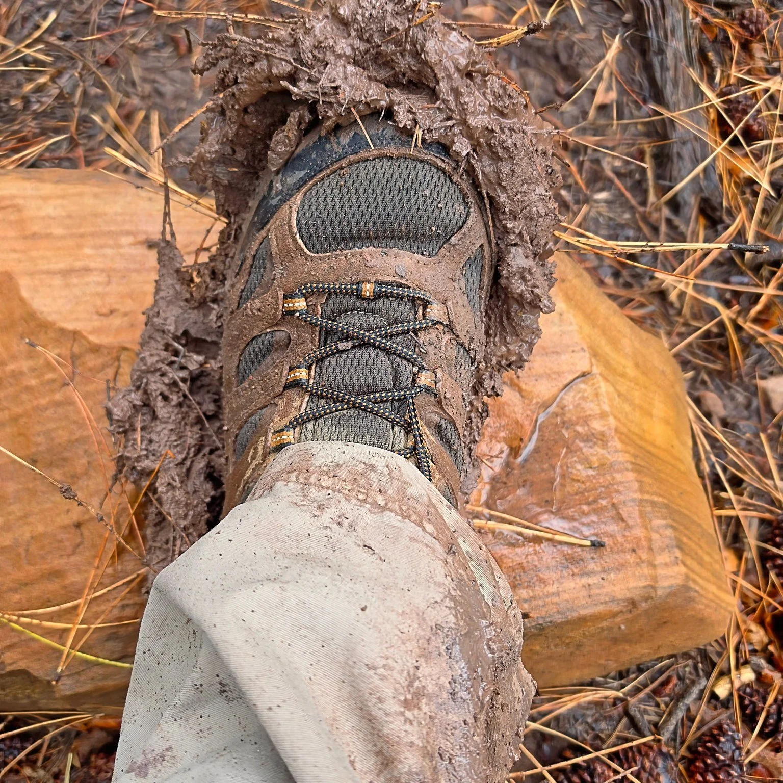 This Way-That Way Trails--1+/2-hosted by NMMC Hike leader Marsha R #nmmc #nmexploring #nmhikeaholic #nmhikingtrails #nmhikes #nmhikingclub #nmhiking #nmmountainclub #nmhikingadventures #nmhikinggroup